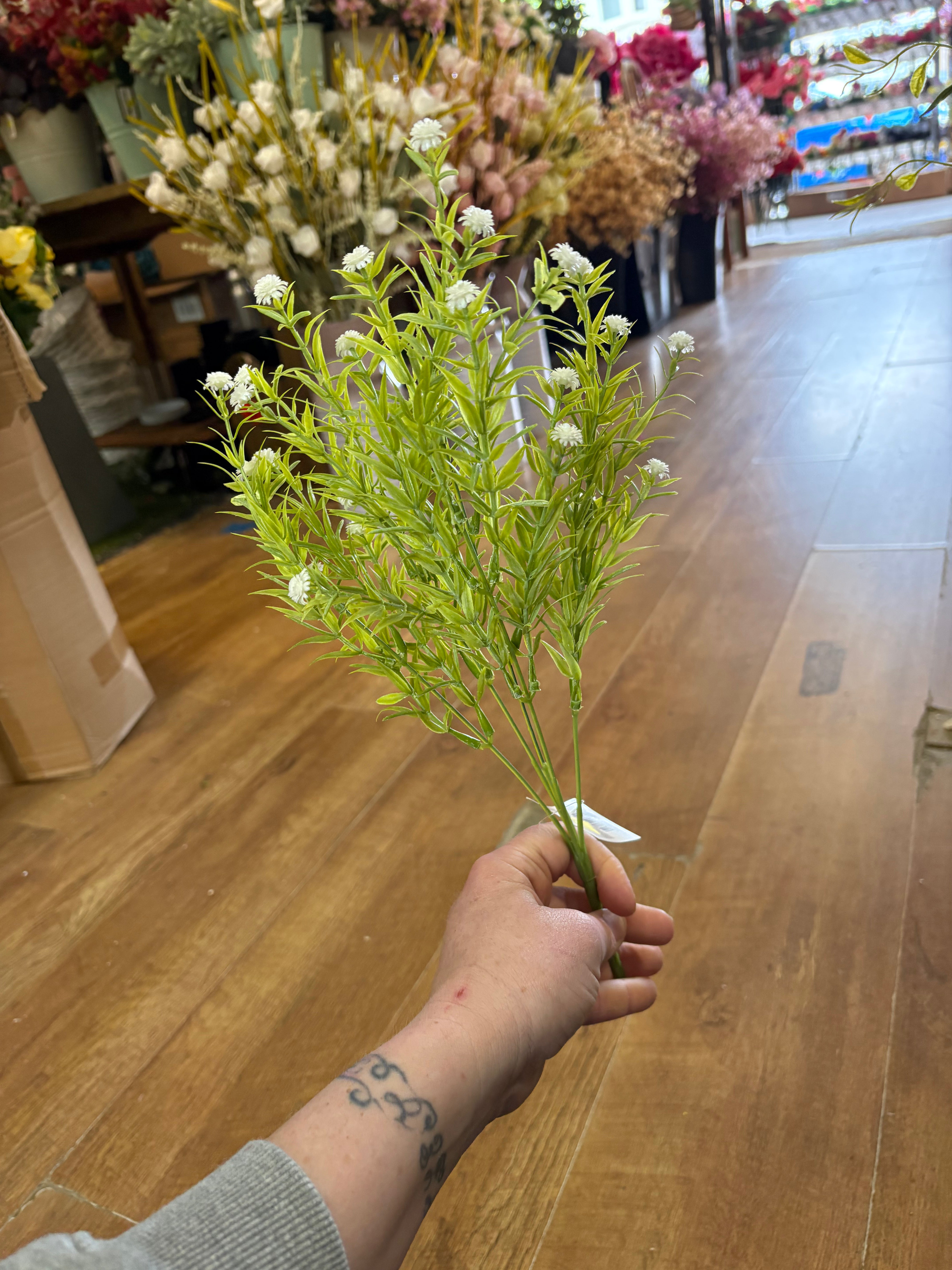 Rosemary with gyp bunch
