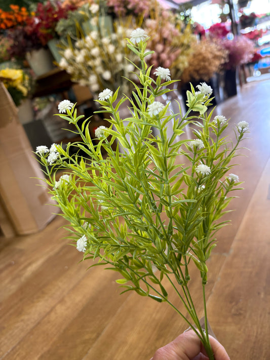 Rosemary with gyp bunch