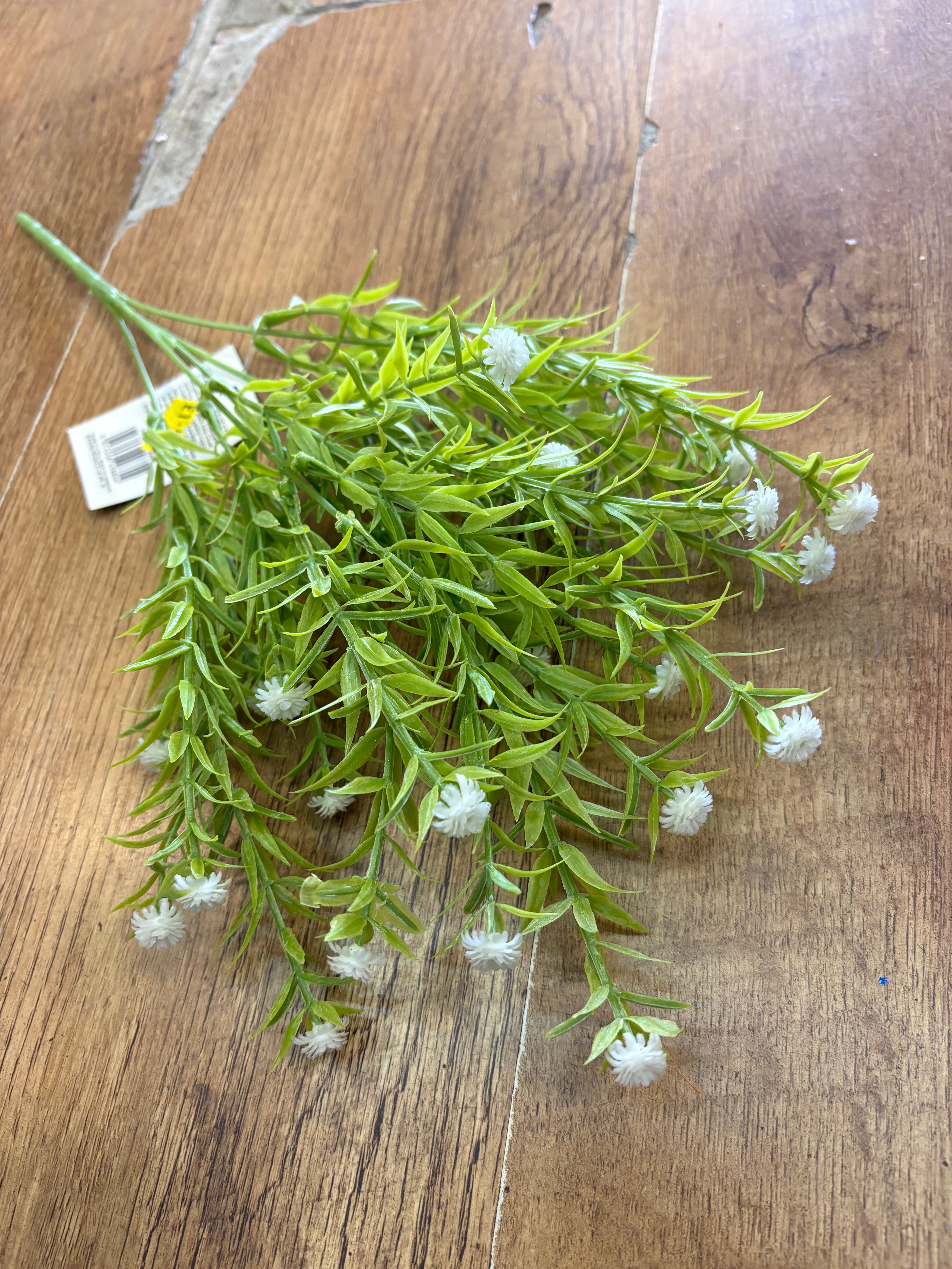 Rosemary with gyp bunch