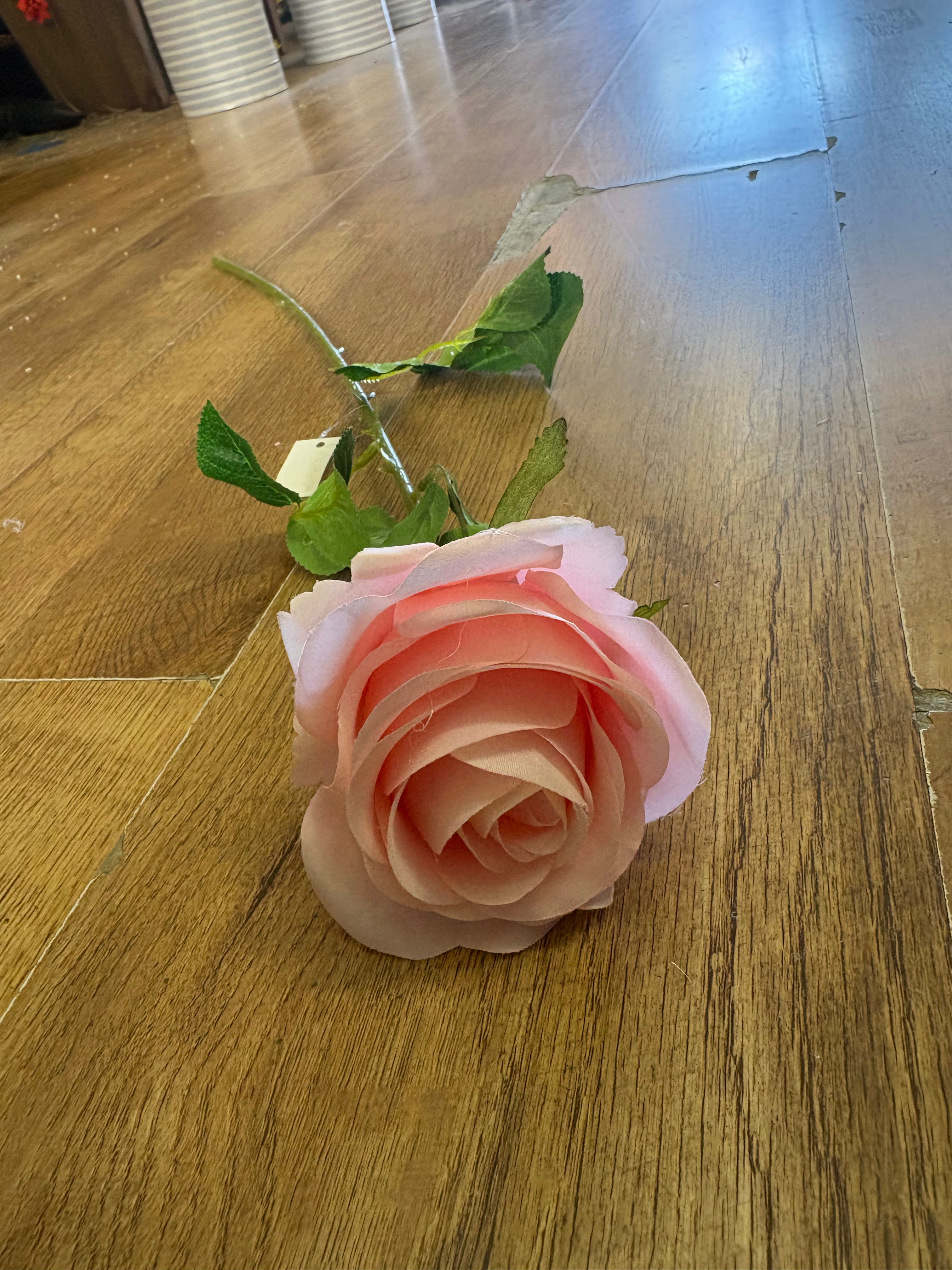 Pale pink single harper rose