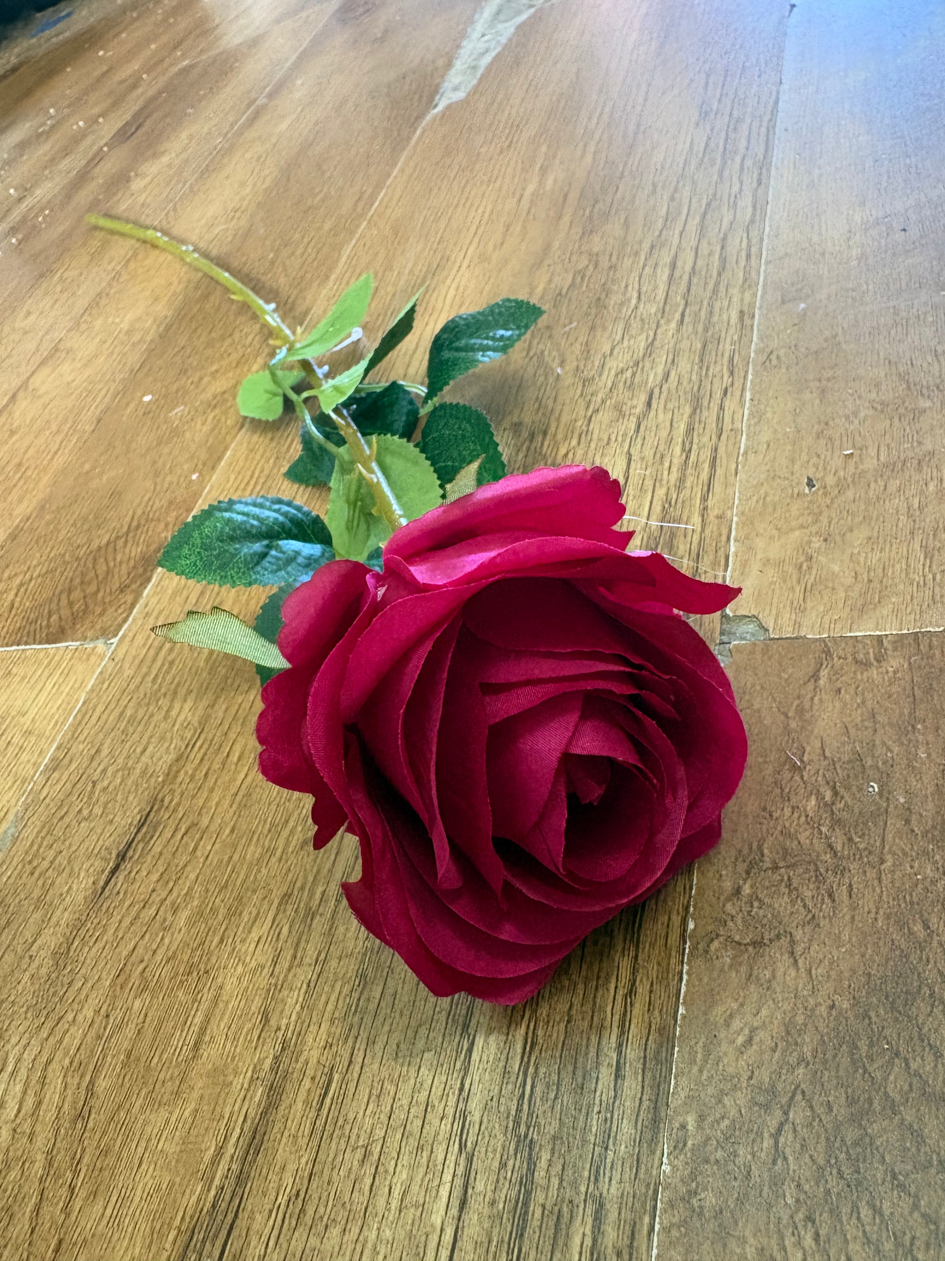 Hot pink single harper rose