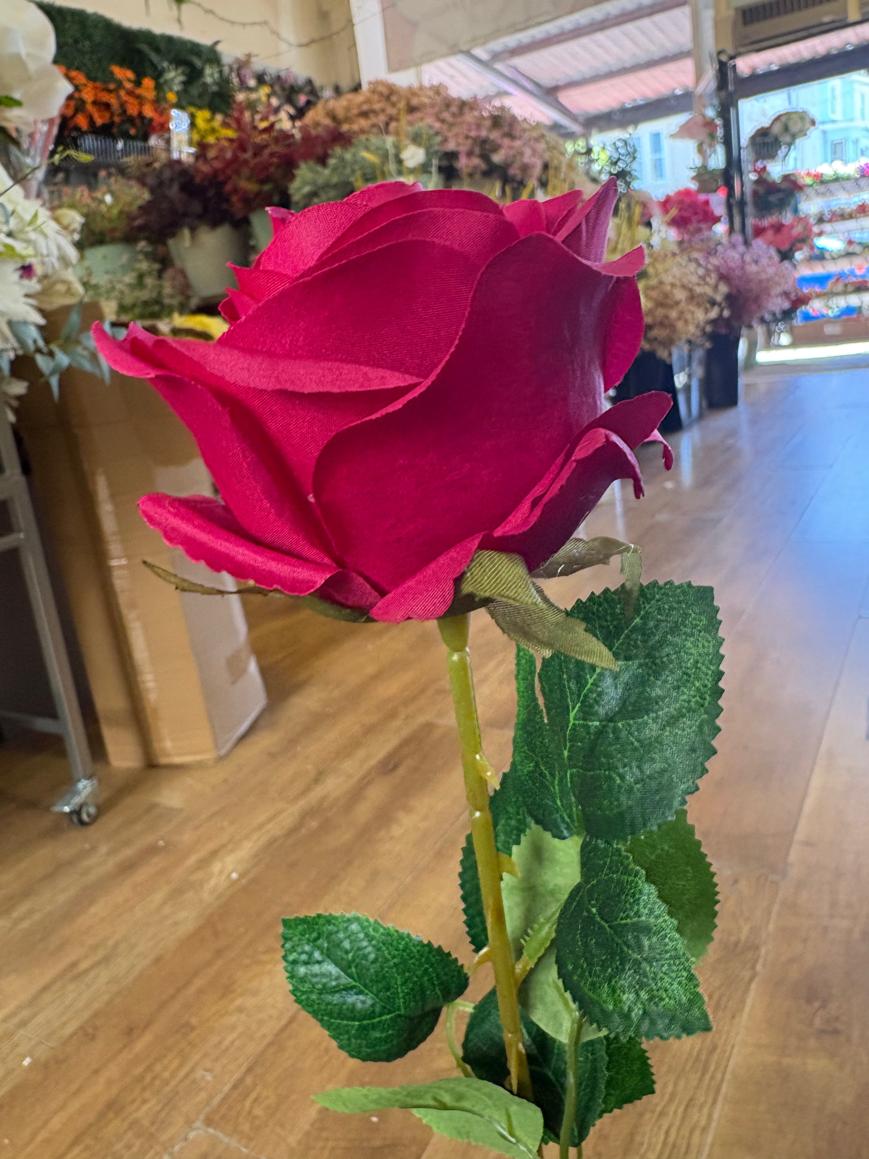 Hot pink single harper rose