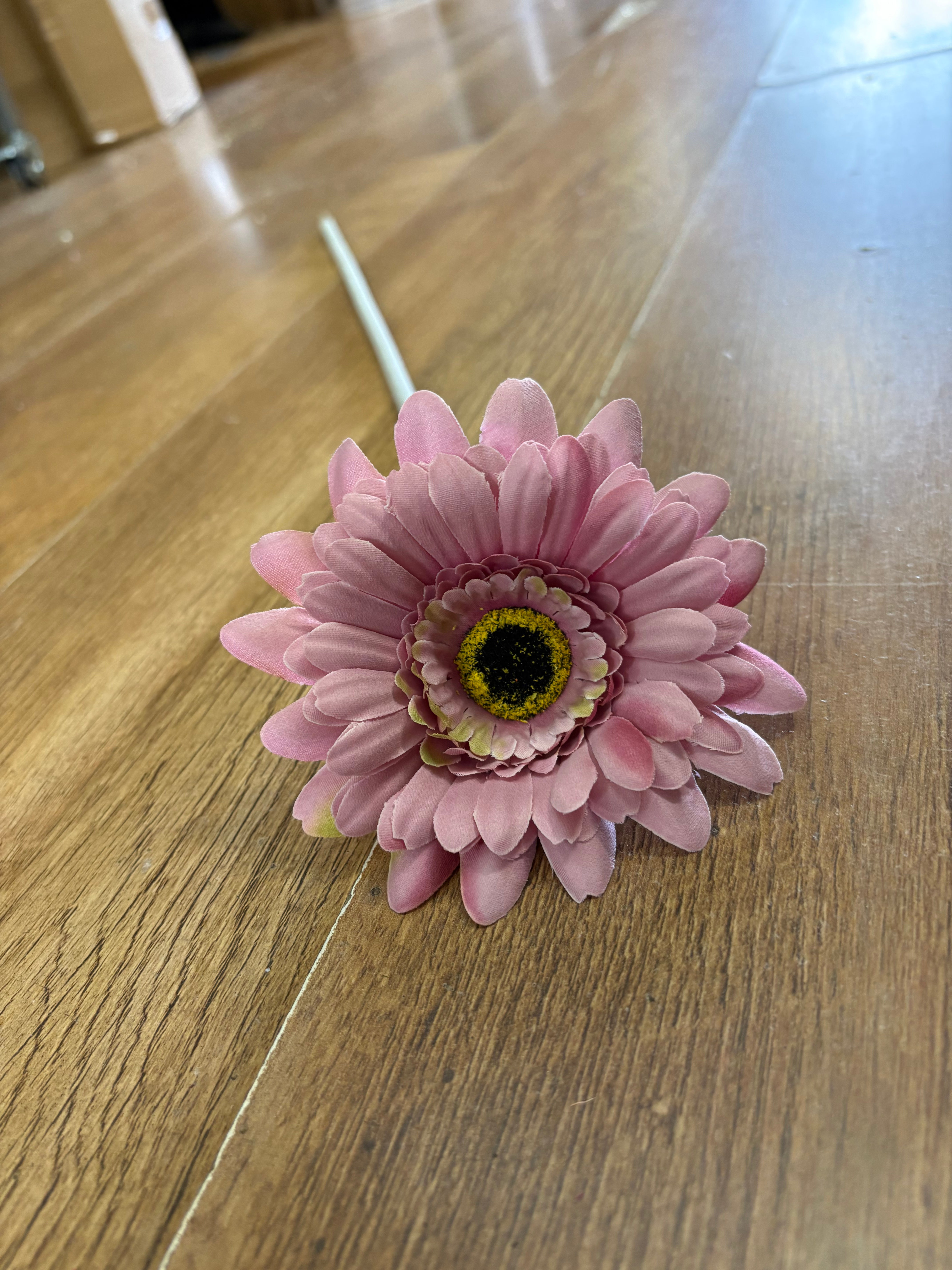 Long stem dusty pink single Ferber a