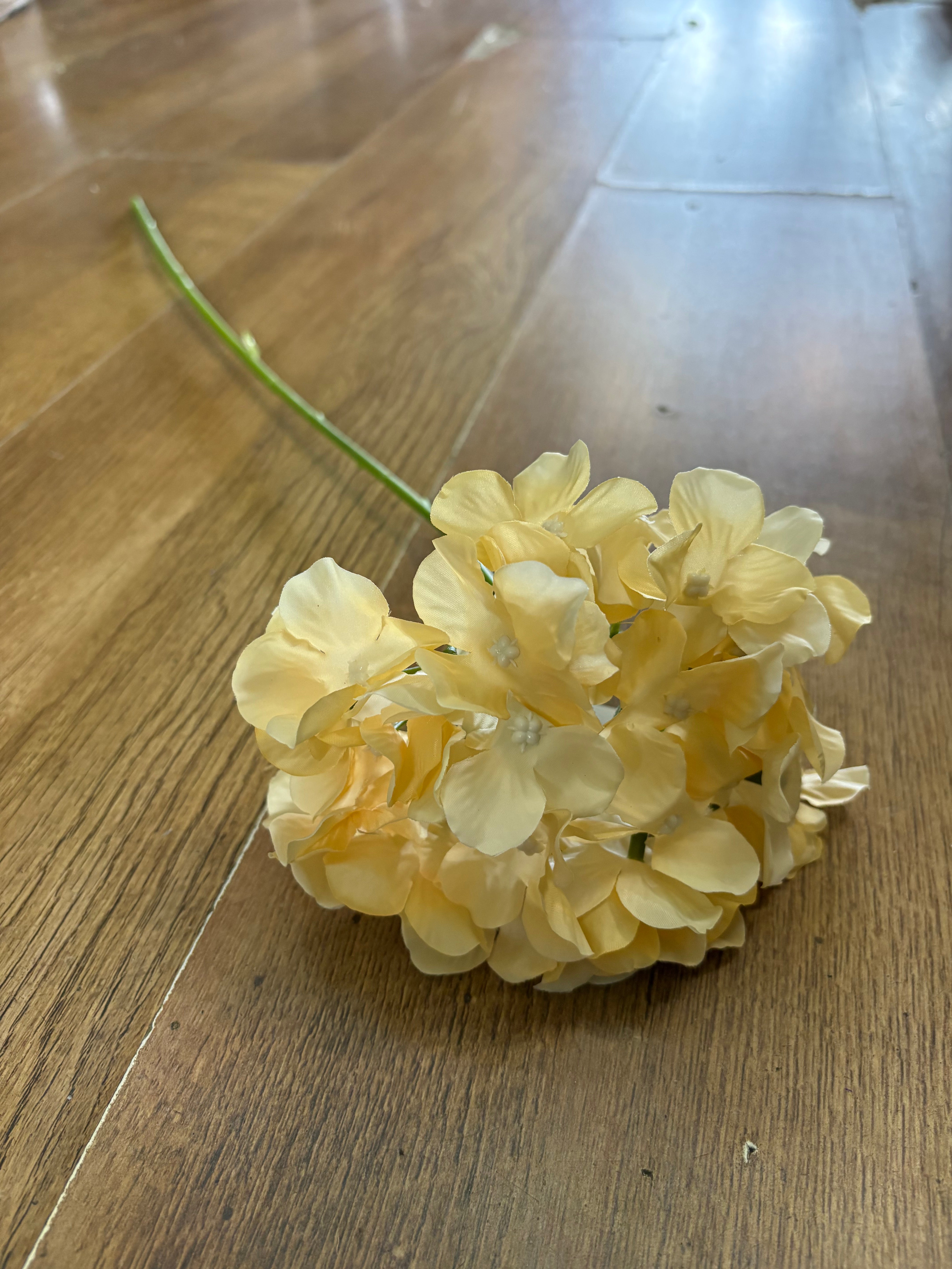 Long stem pale yellow single hydrangea