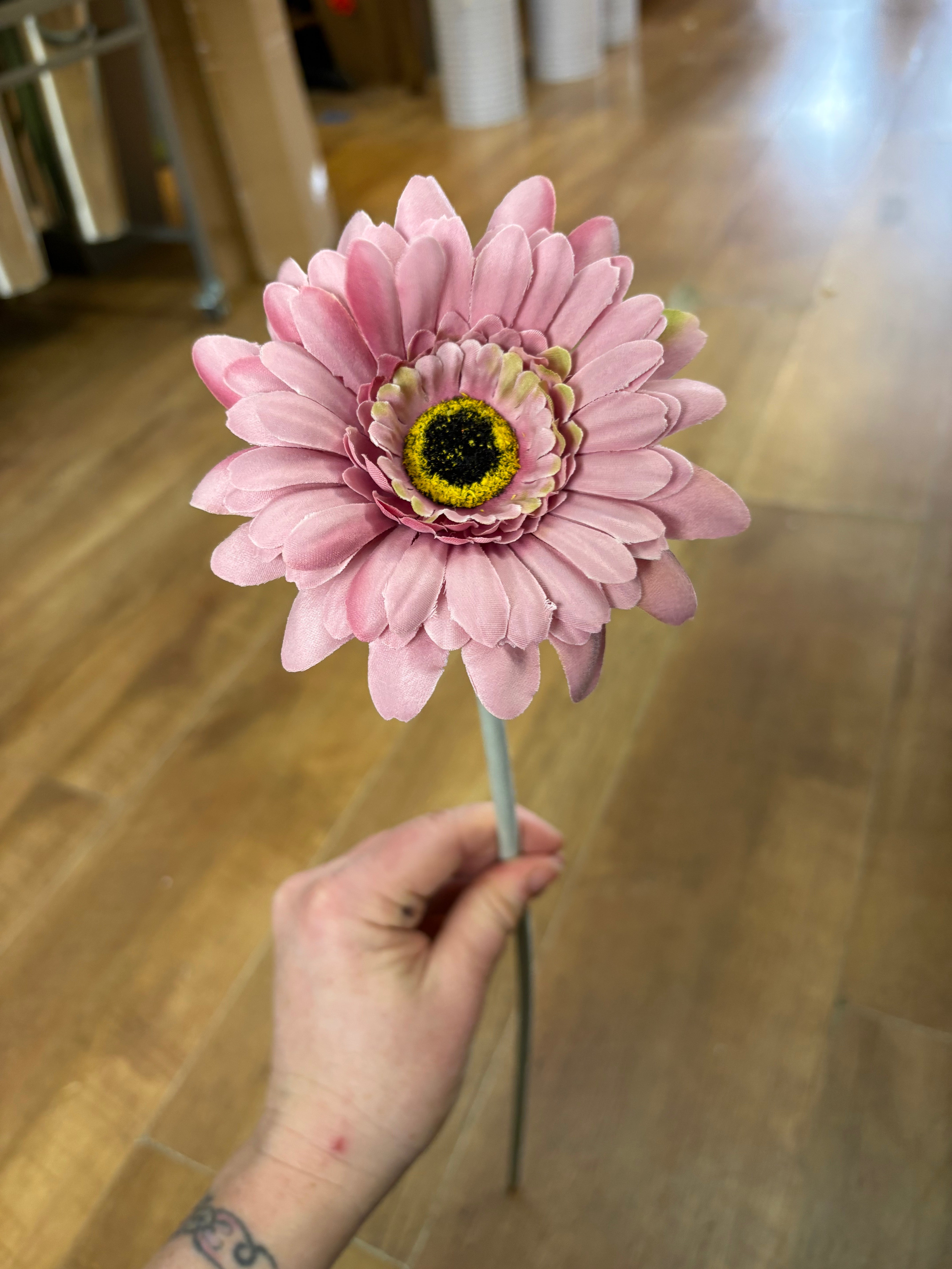 Long stem dusty pink single Ferber a