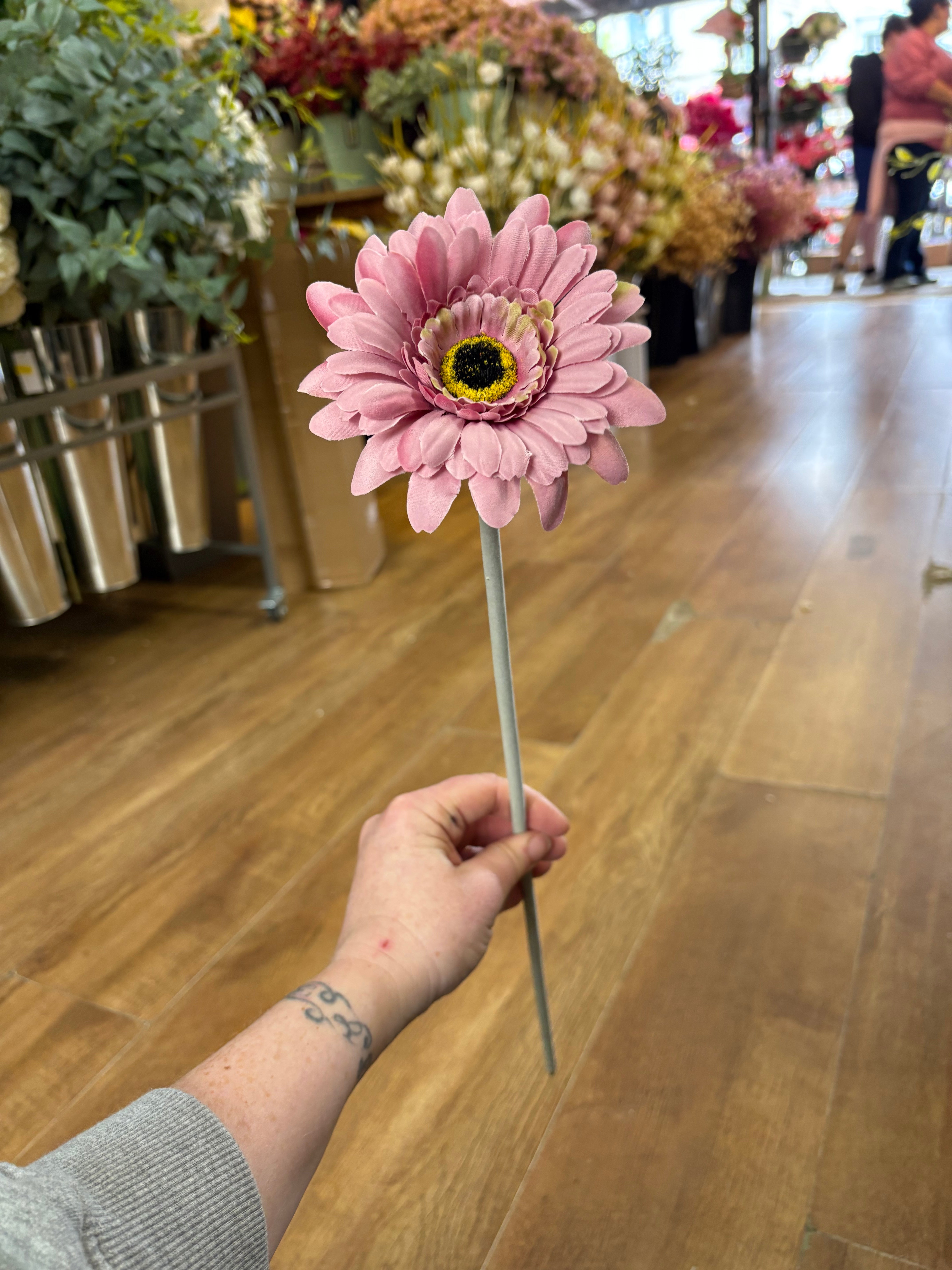 Long stem dusty pink single Ferber a