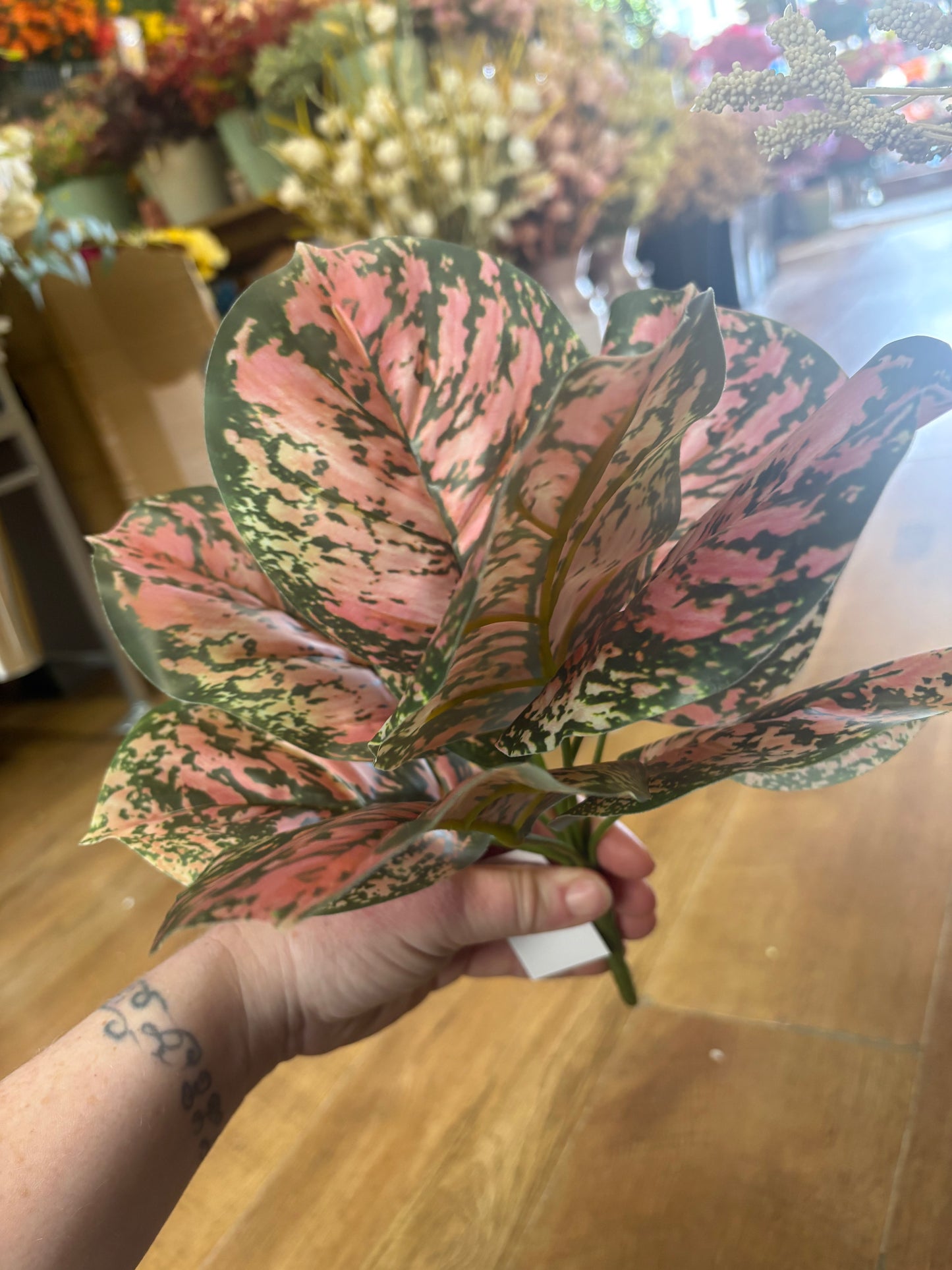 Brunnera leaf bunch - pink/green