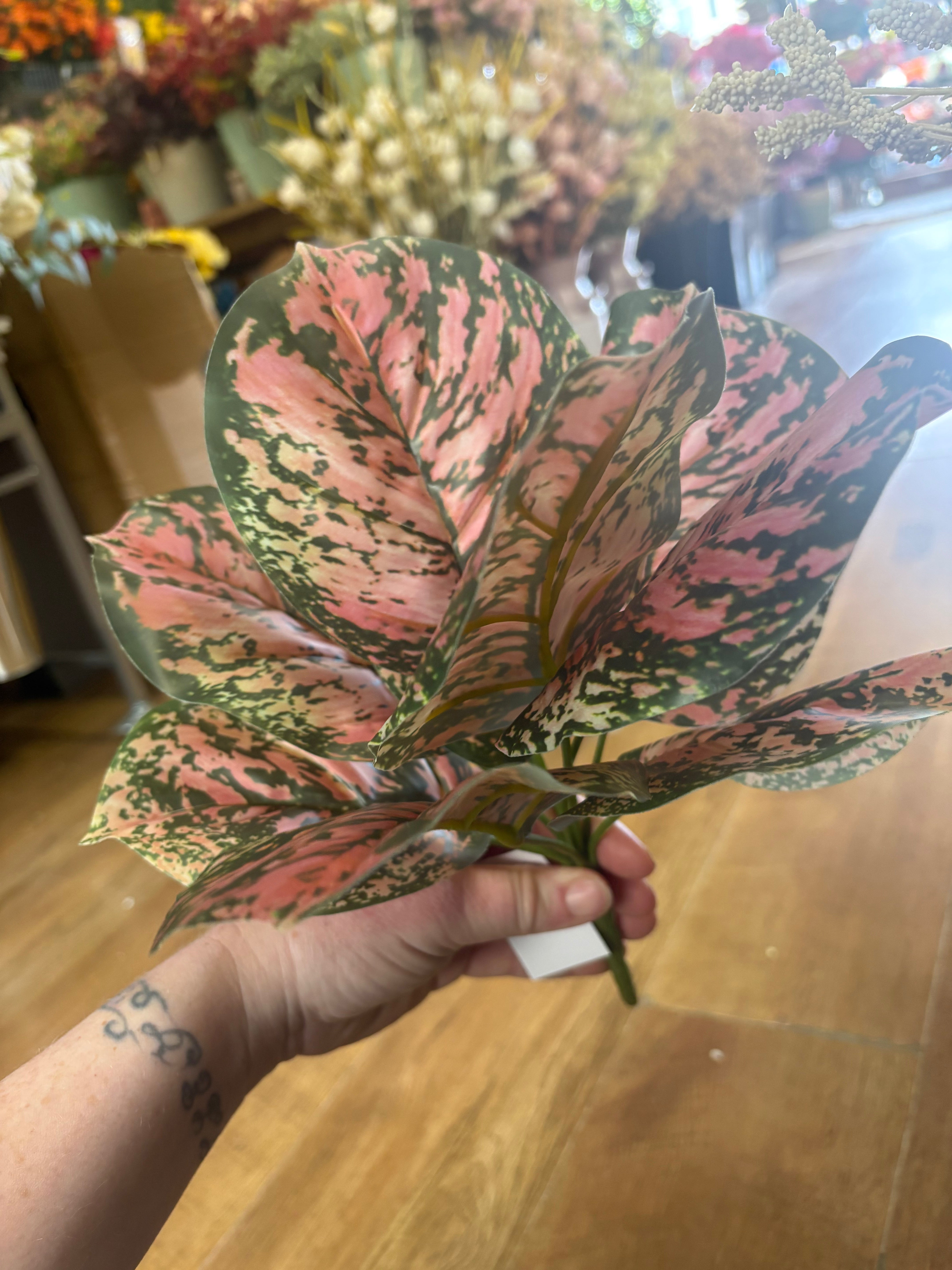 Brunnera leaf bunch - pink/green
