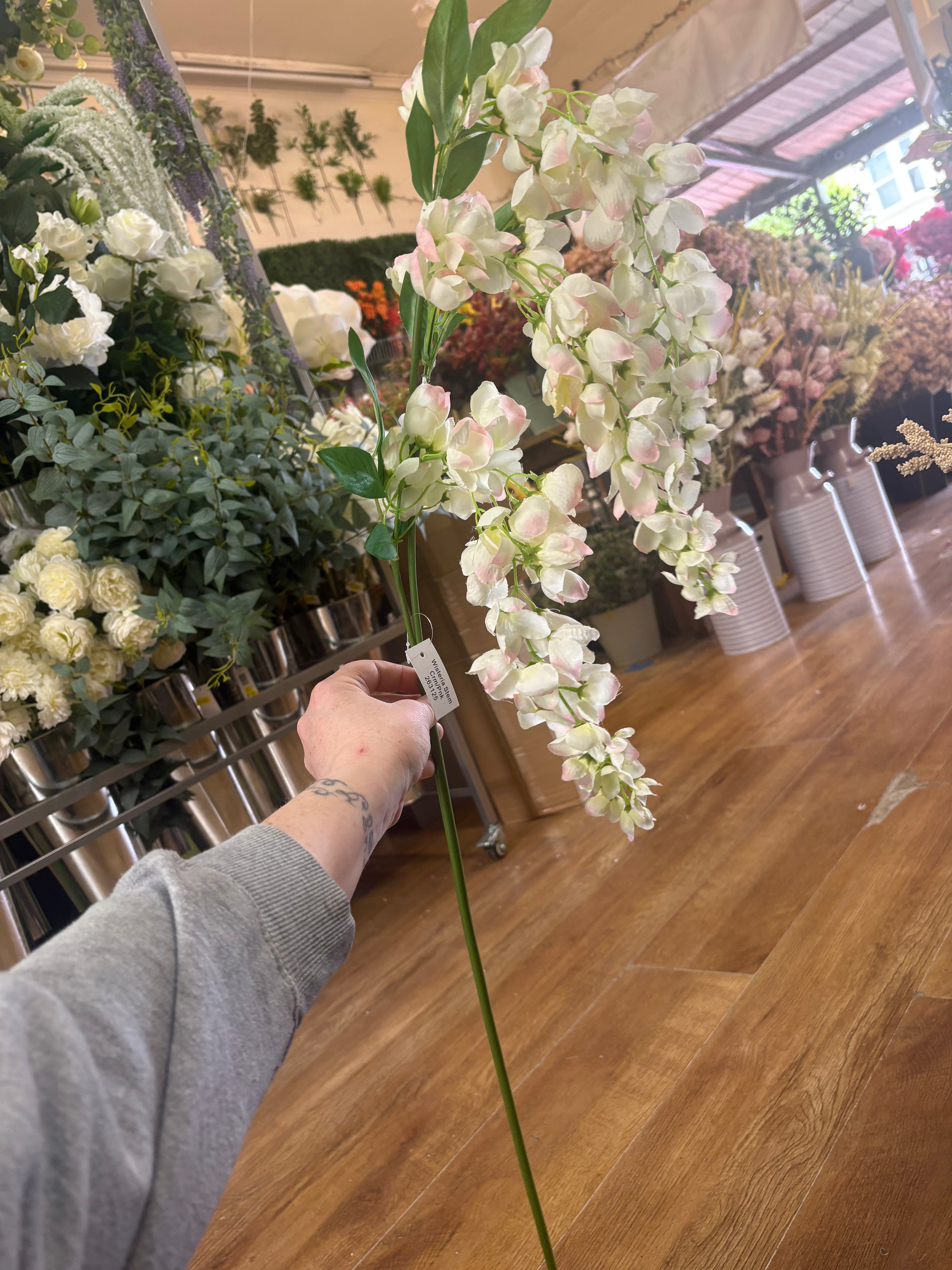 92cm tall cream with pink tints trailing wisteria (trail length approx 30cm)