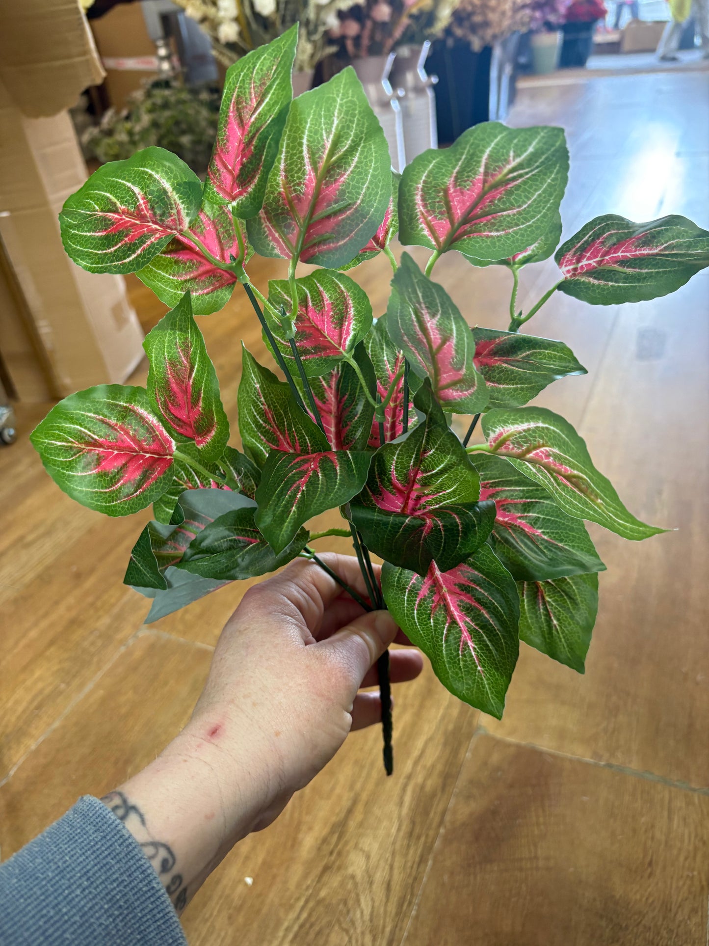 Pink and green Veined daghara bunch