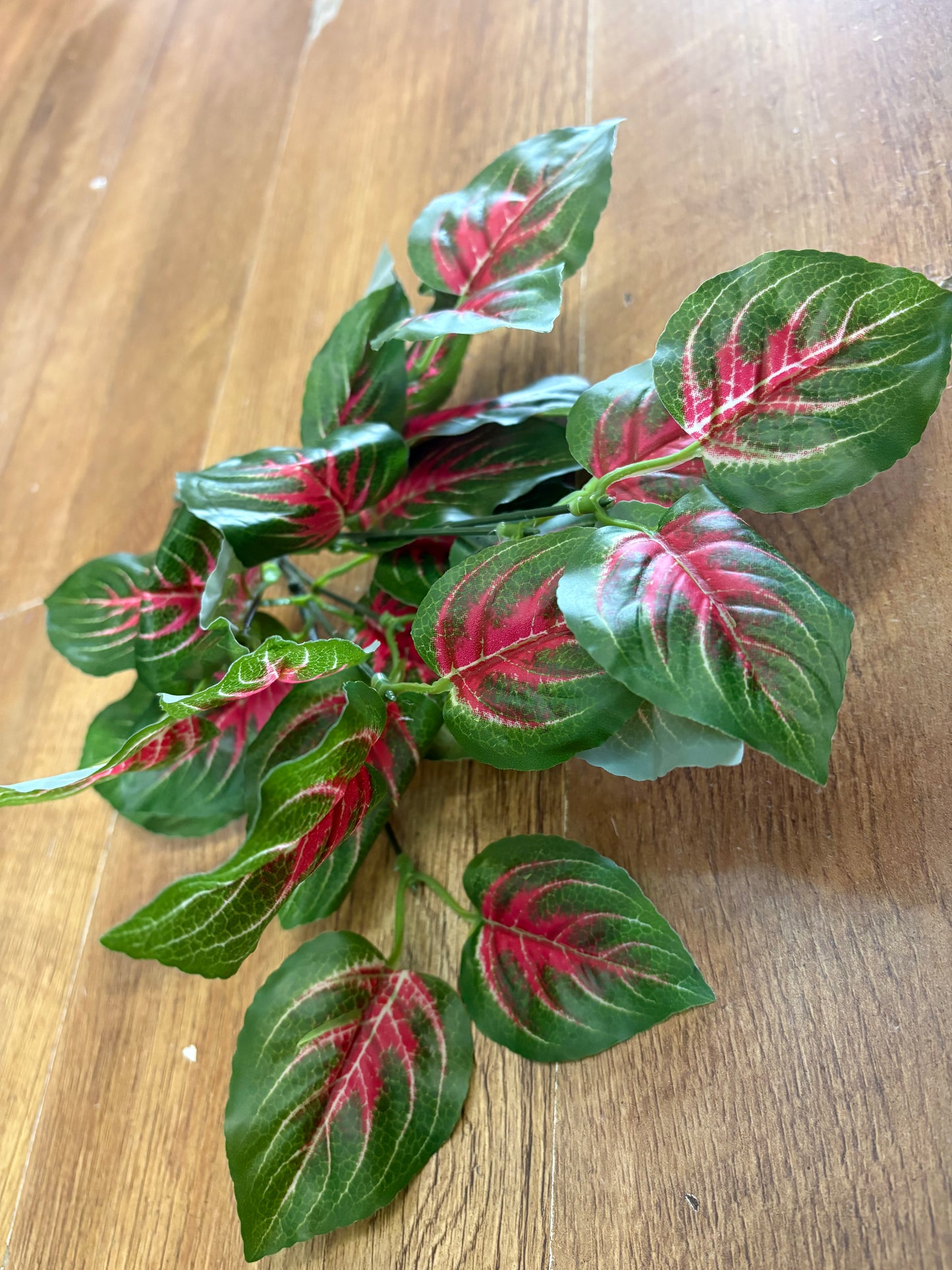 Pink and green Veined daghara bunch