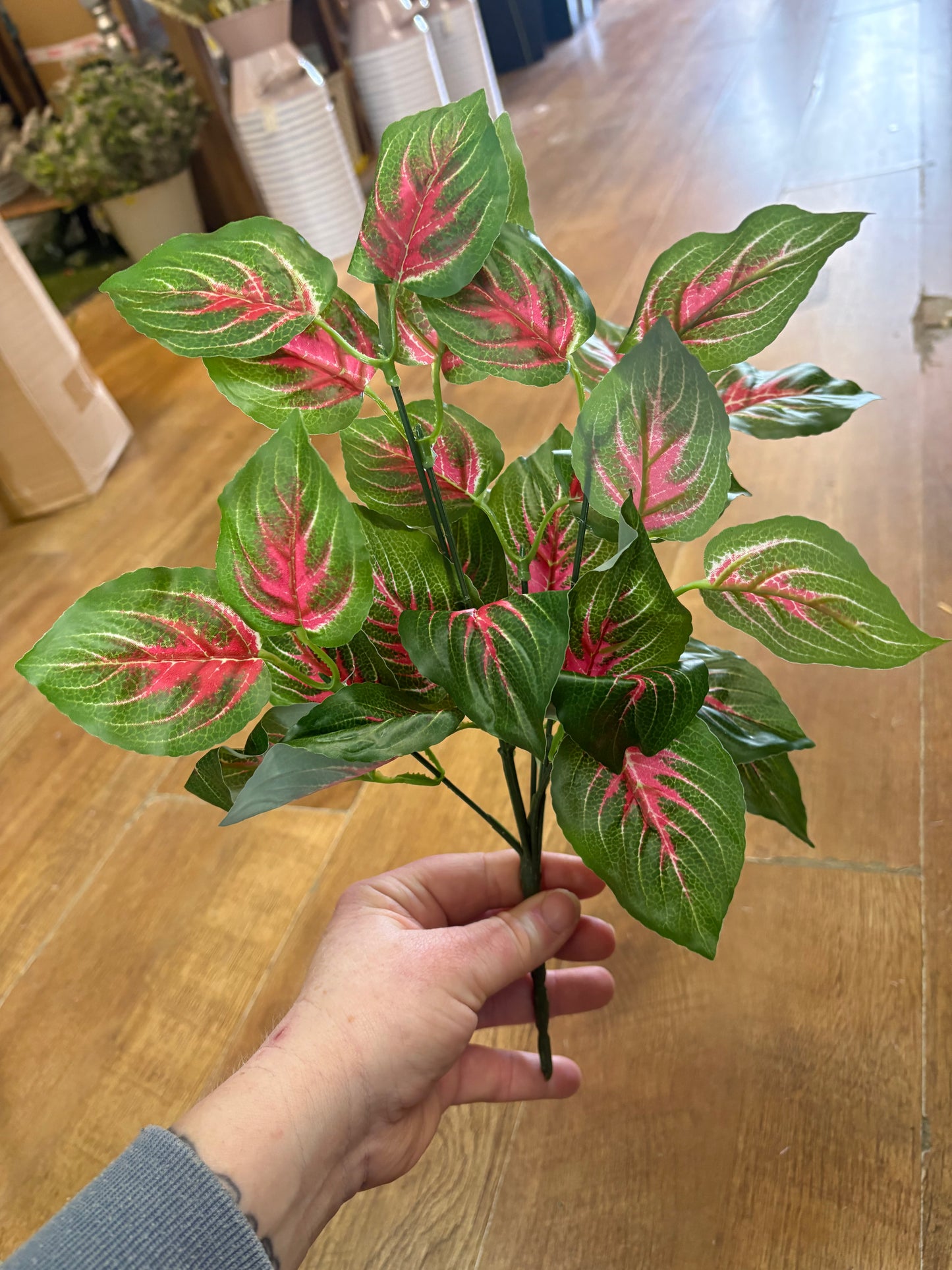 Pink and green Veined daghara bunch