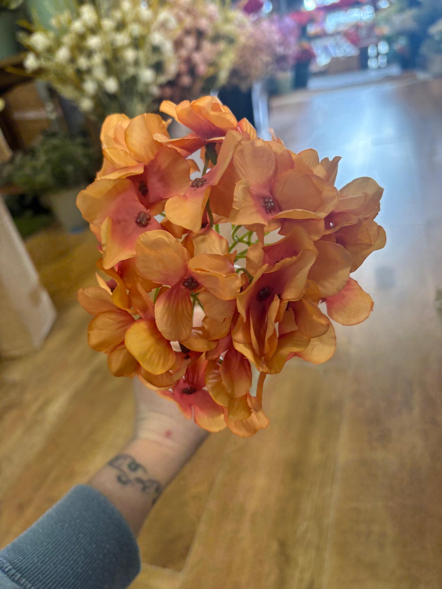 Long stem single burnt orange hydrangea