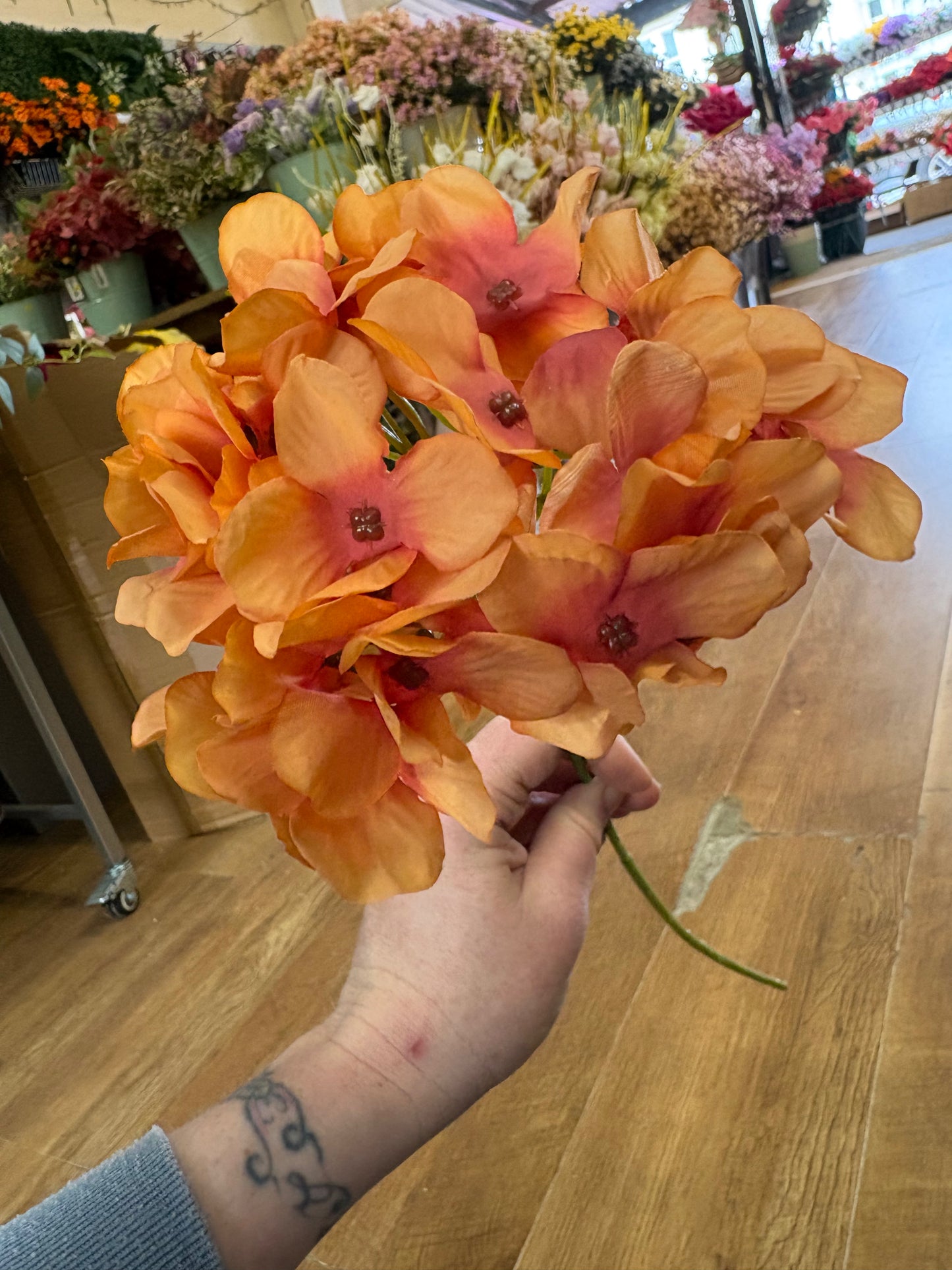 Long stem single burnt orange hydrangea