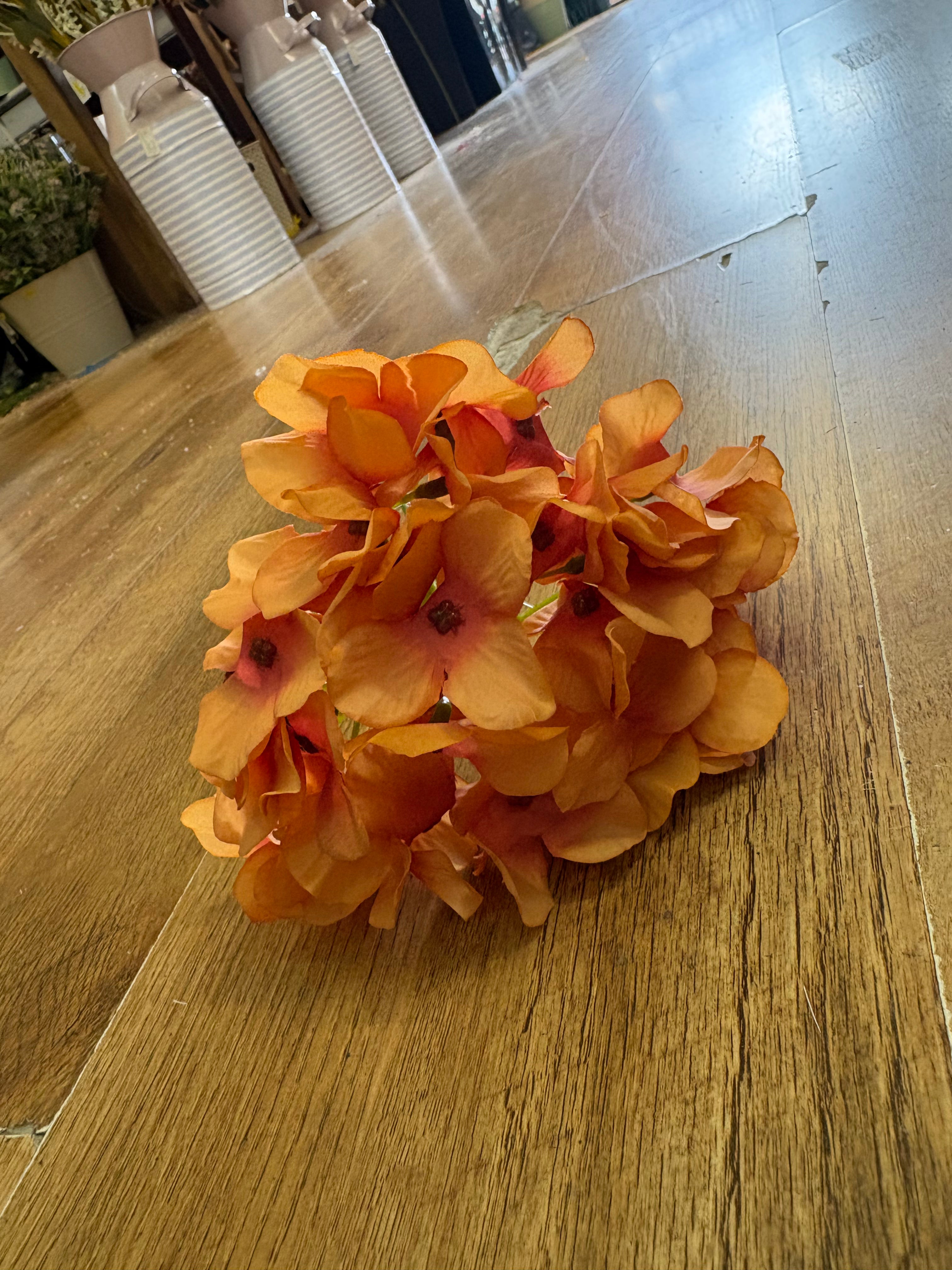 Long stem single burnt orange hydrangea