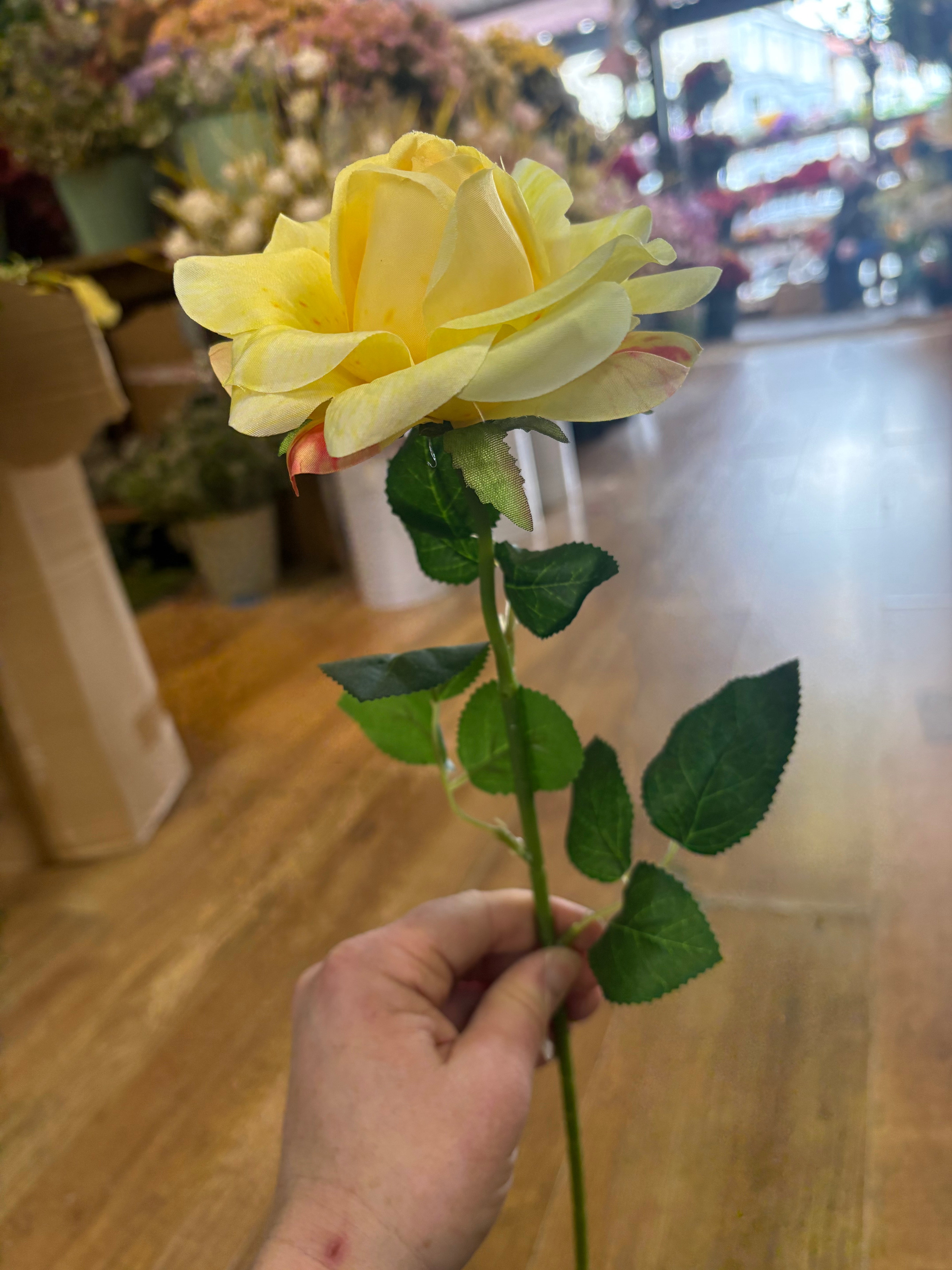 Single yellow Esme rose