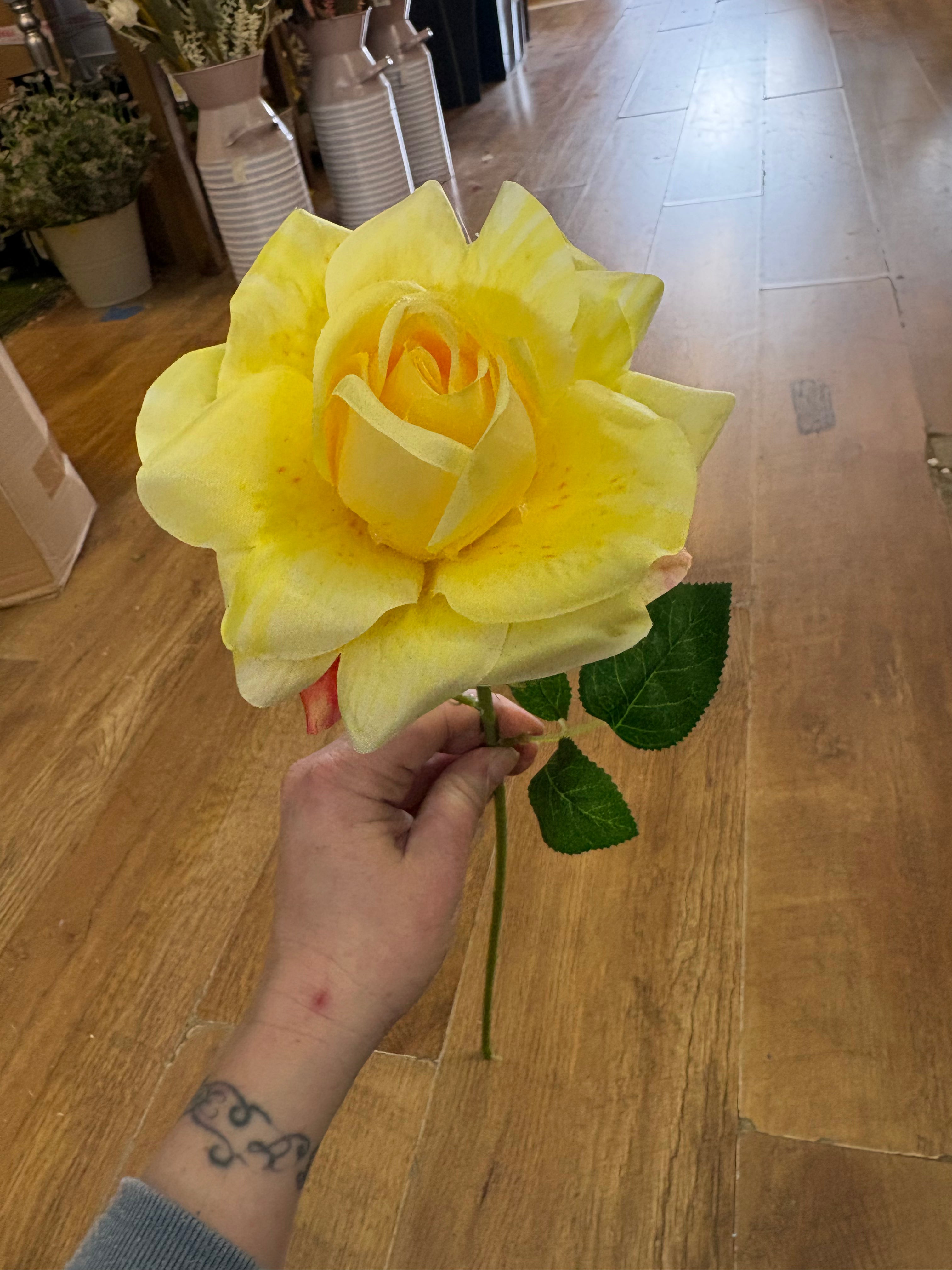 Single yellow Esme rose