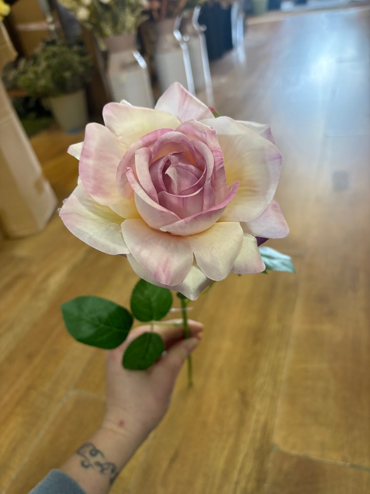 Single Lilac Esme rose