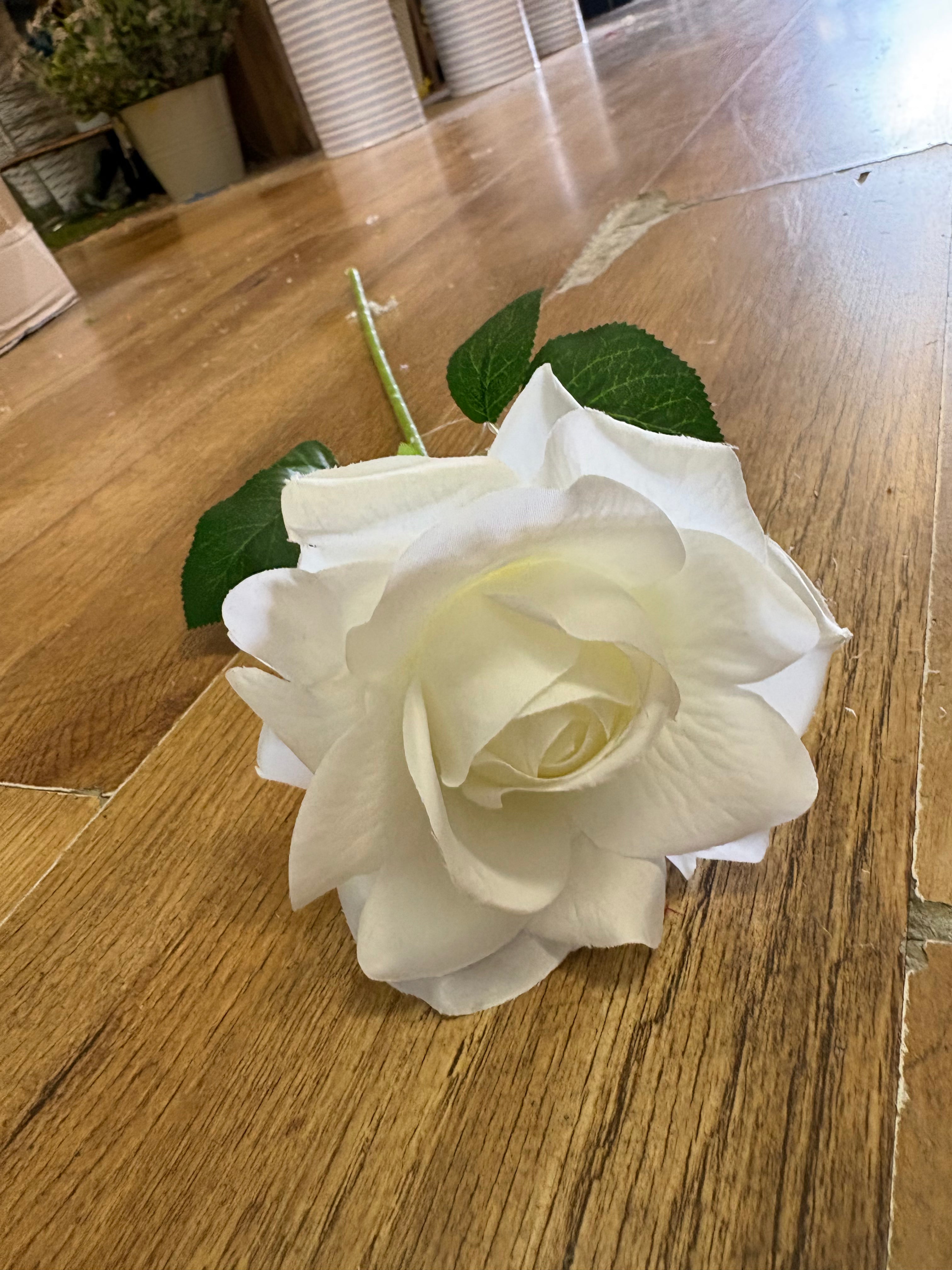 Single ivory Esme rose