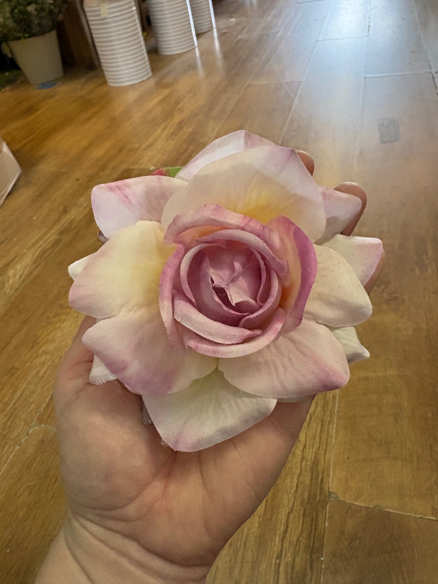 Single Lilac Esme rose