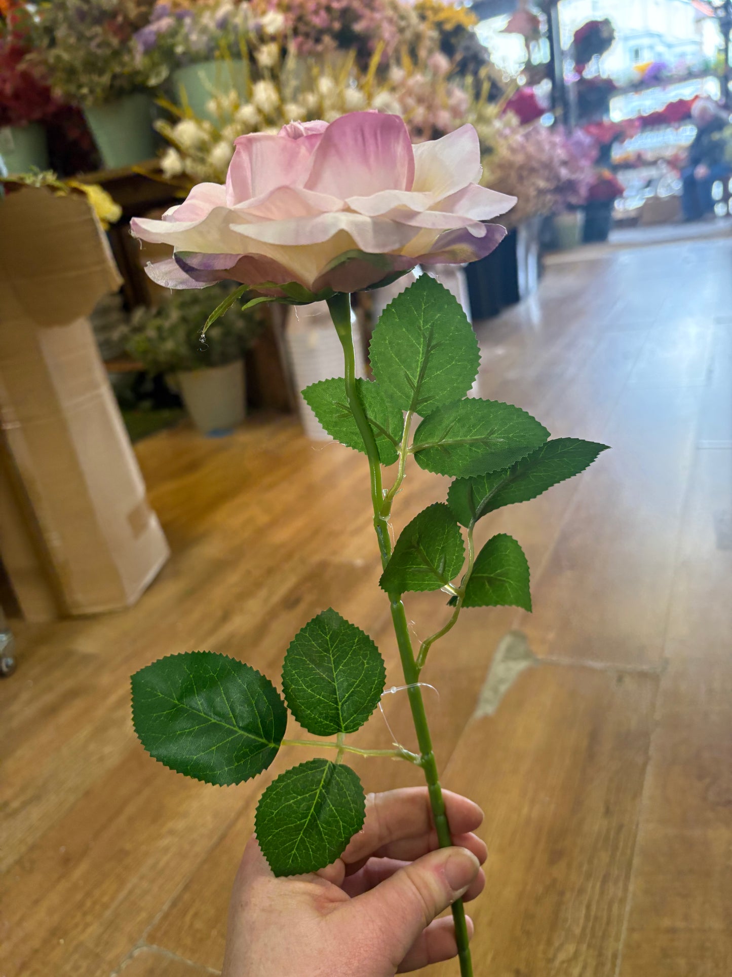 Single Lilac Esme rose