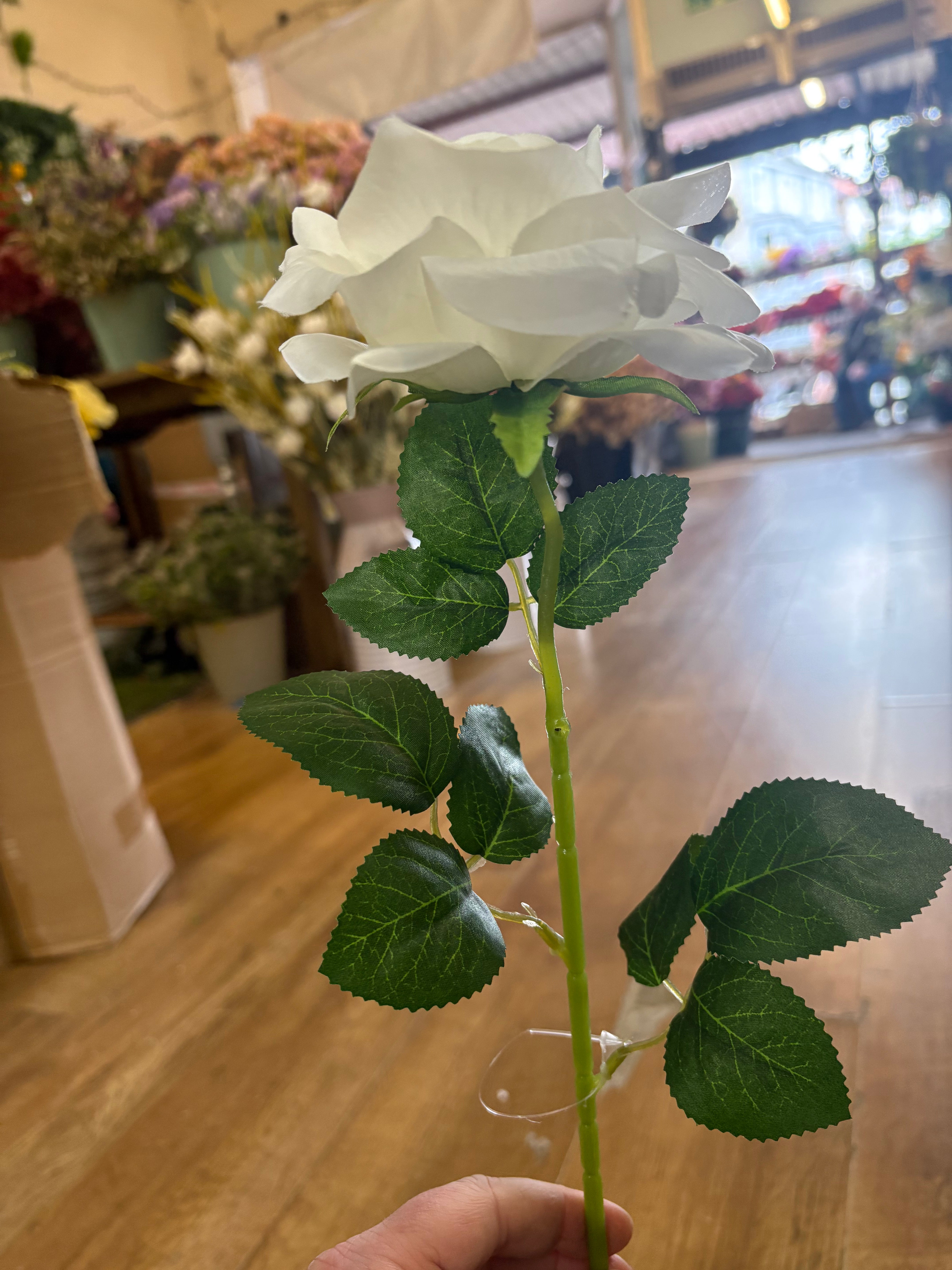 Single ivory Esme rose