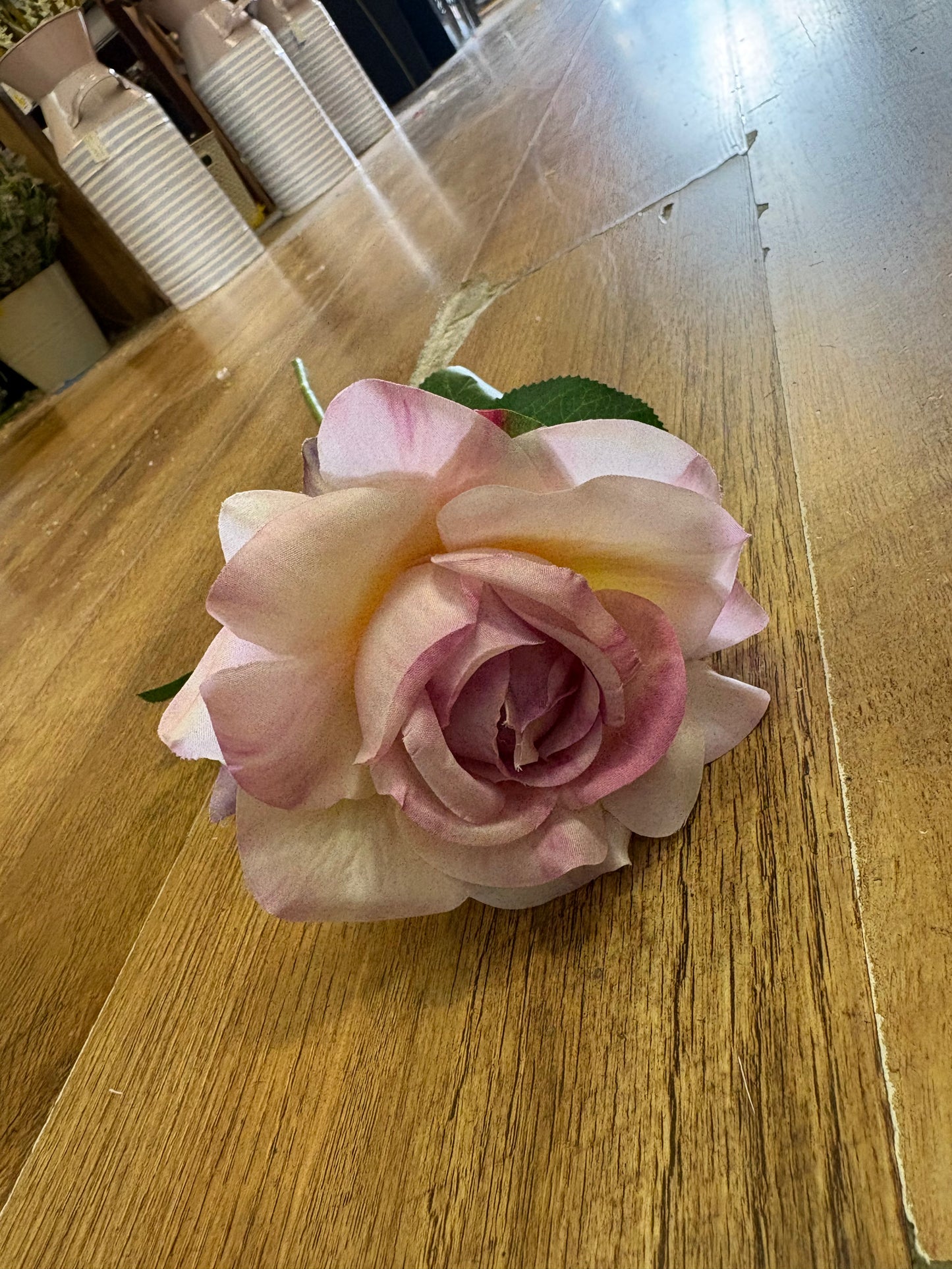 Single Lilac Esme rose