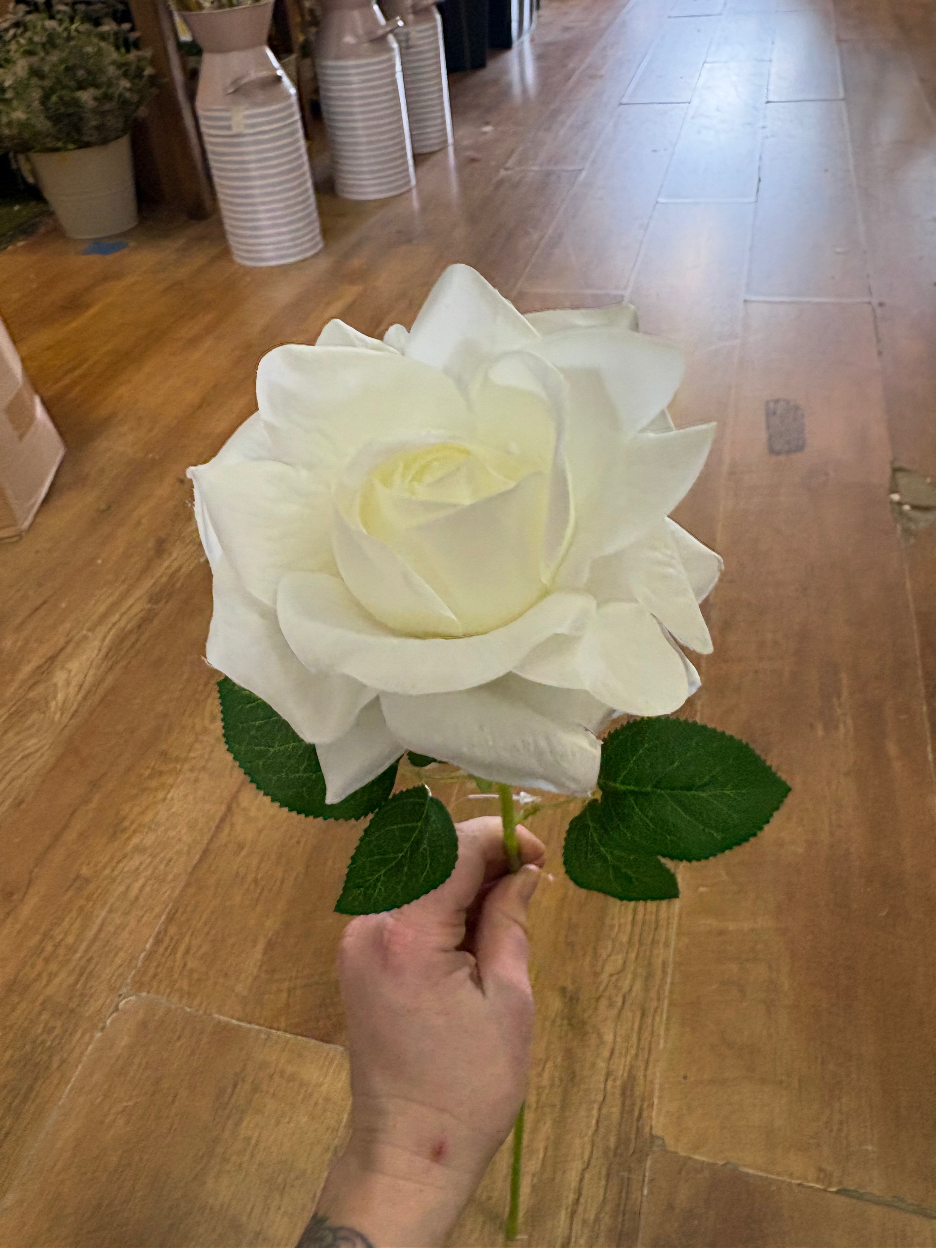 Single ivory Esme rose