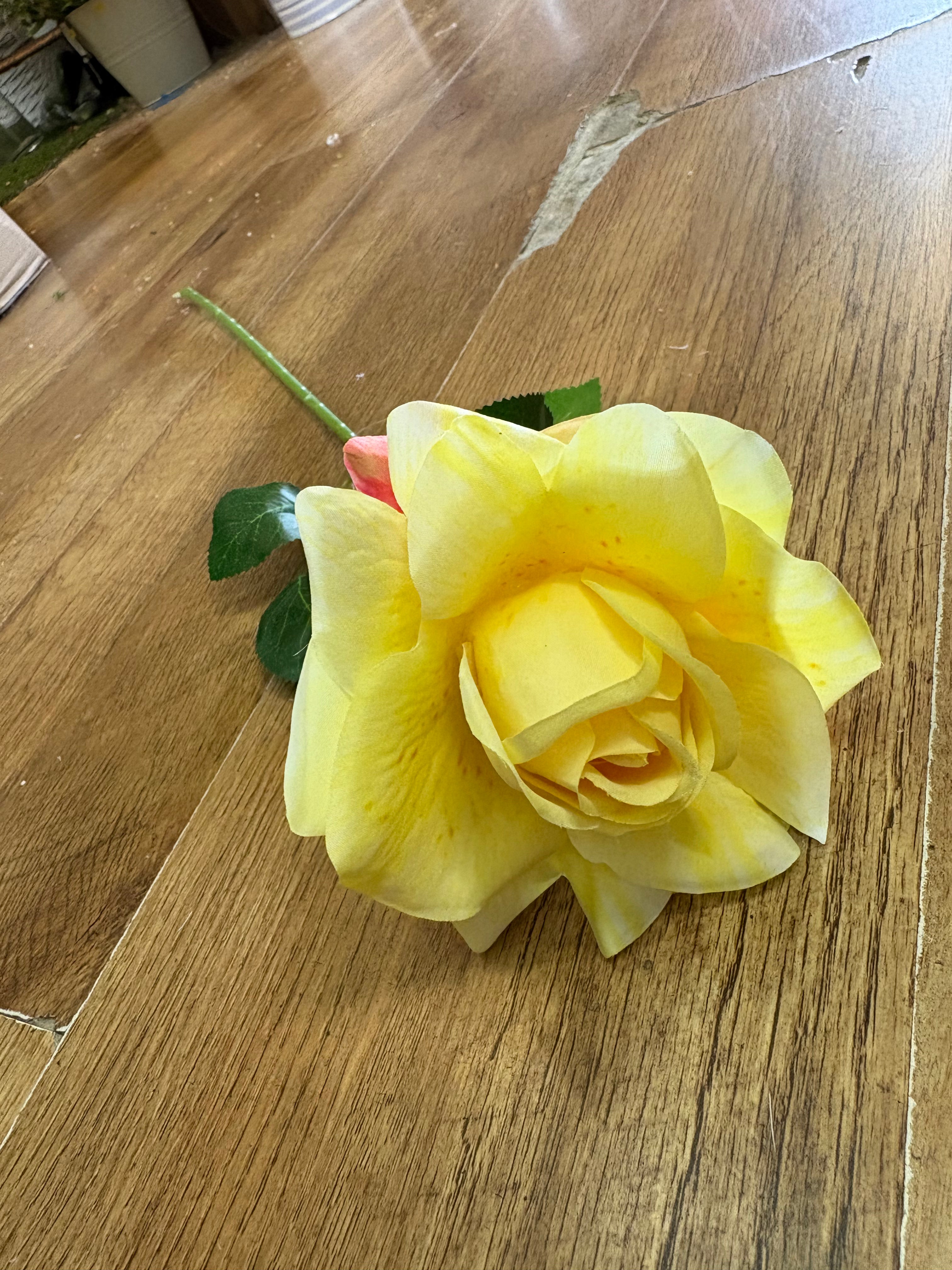 Single yellow Esme rose