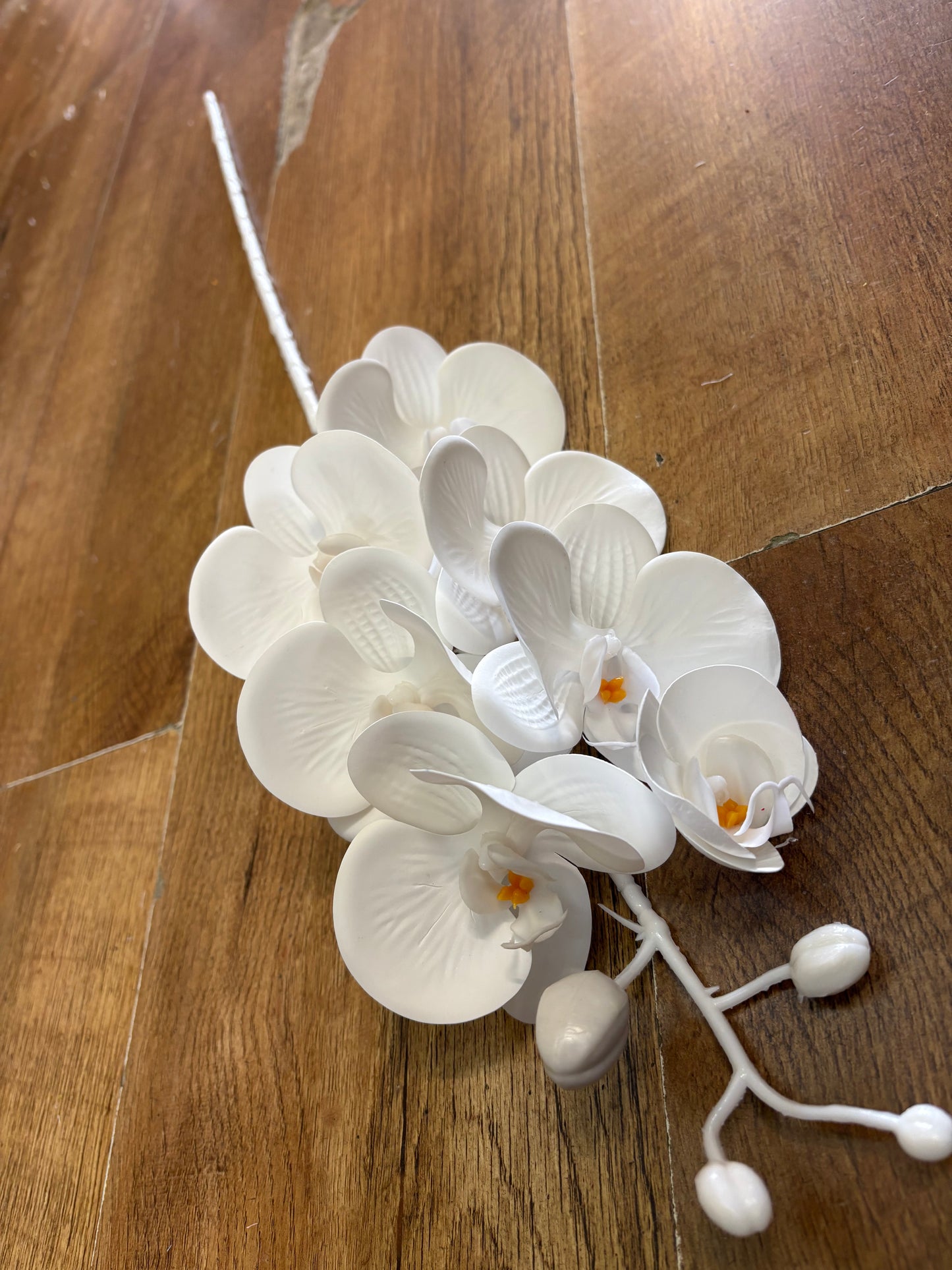 74cm tall 7 headed pure white orchid stem