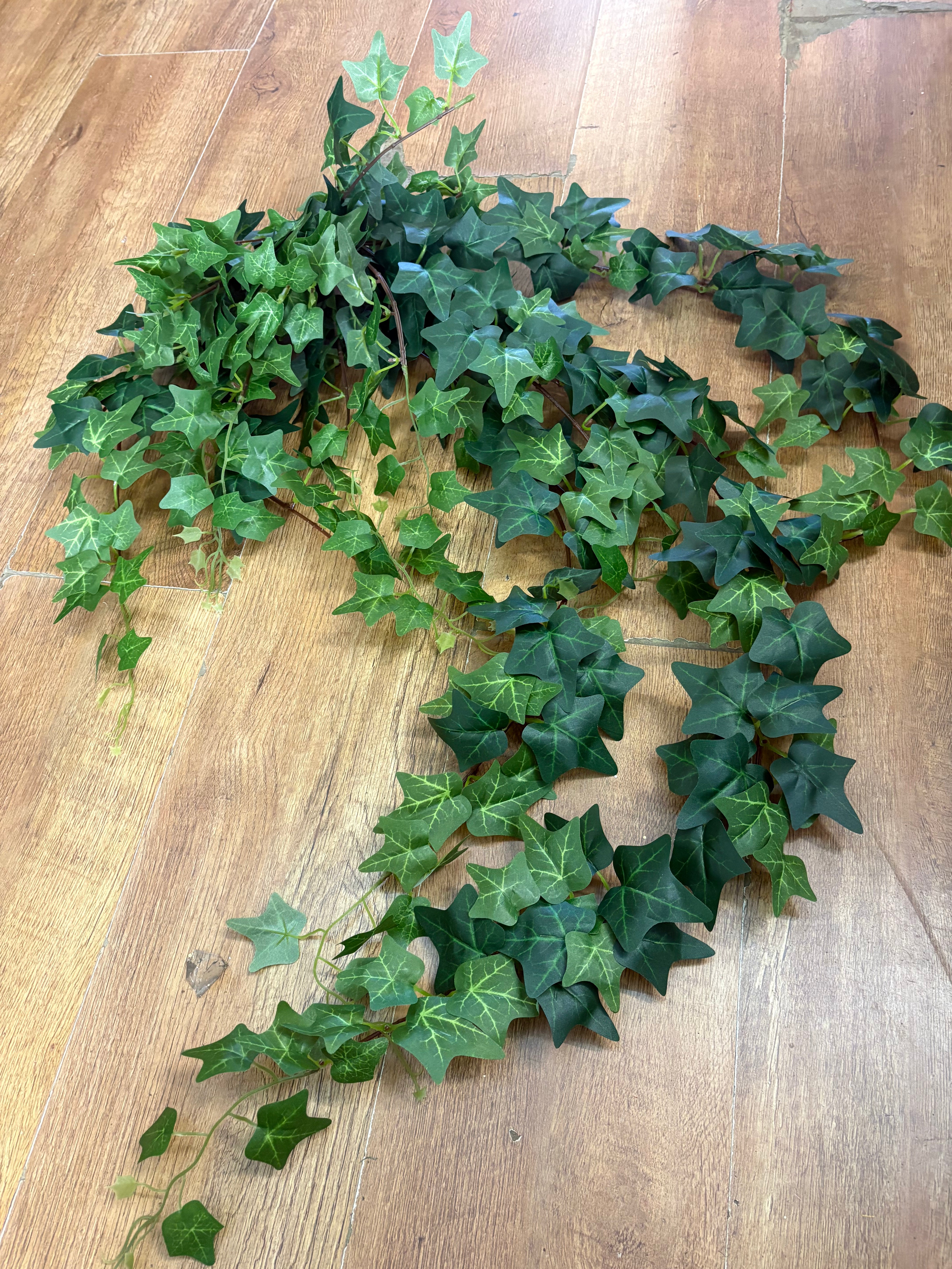 Large bushy ivy trailer
