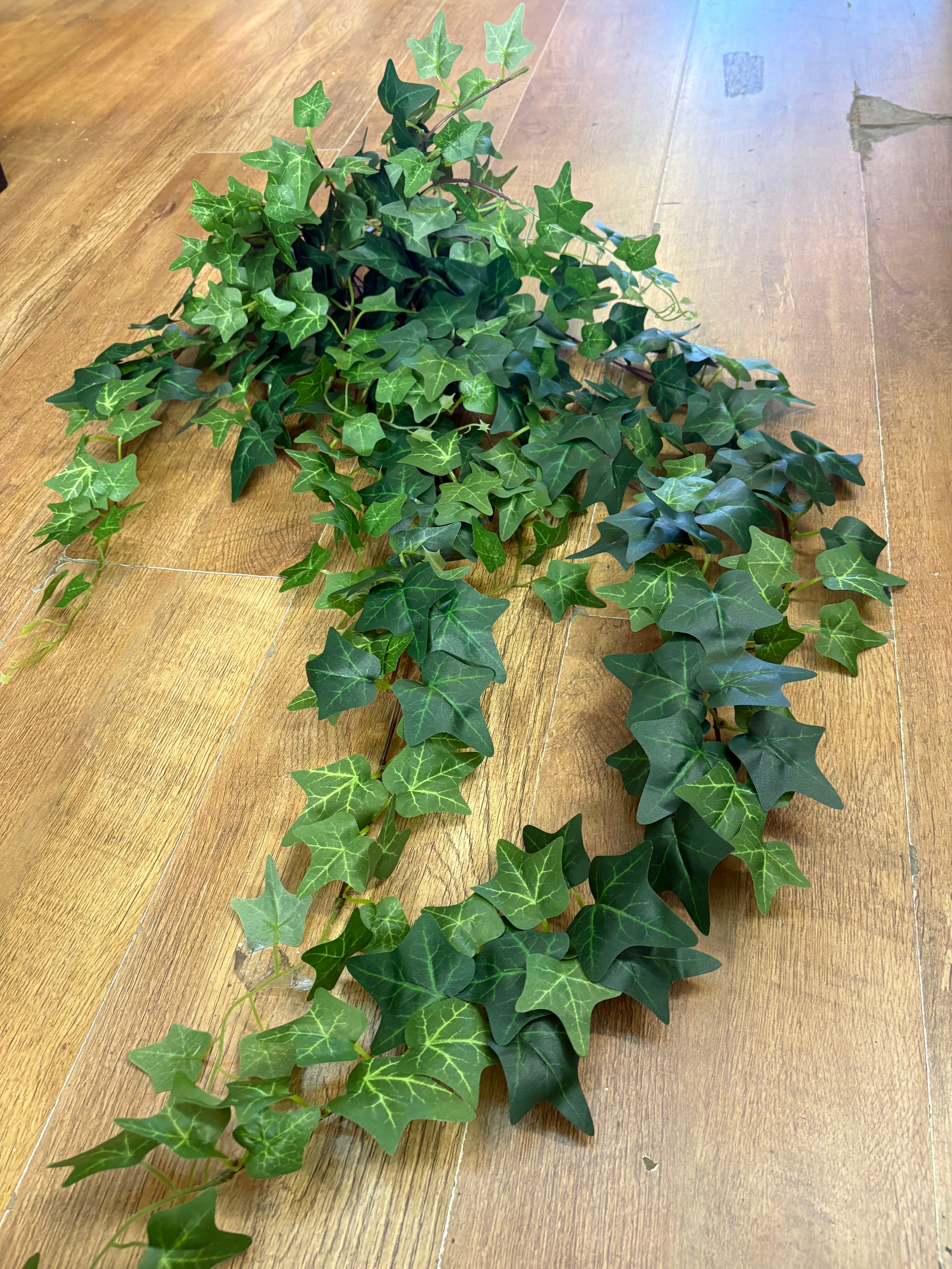 Large bushy ivy trailer