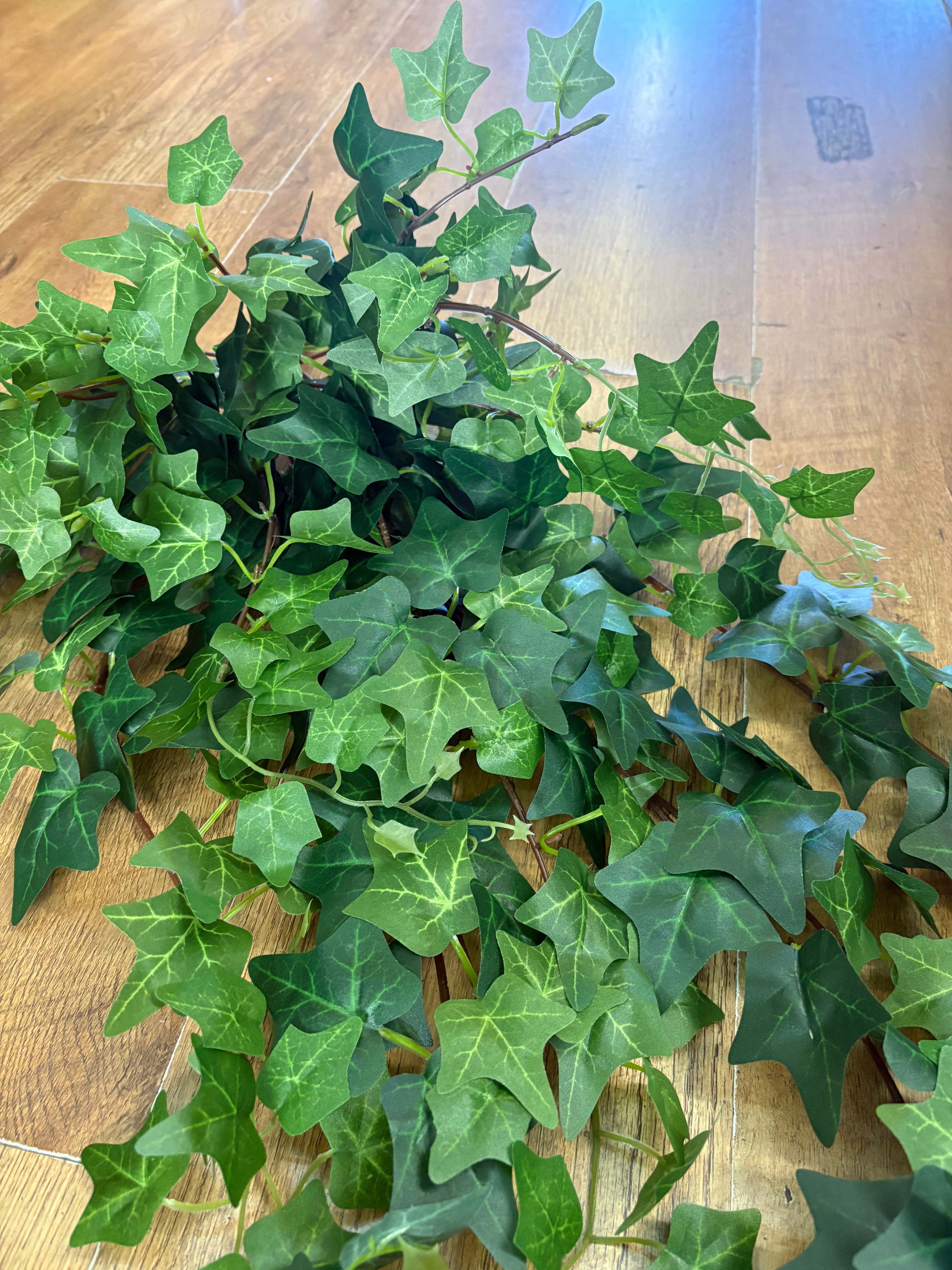 Large bushy ivy trailer