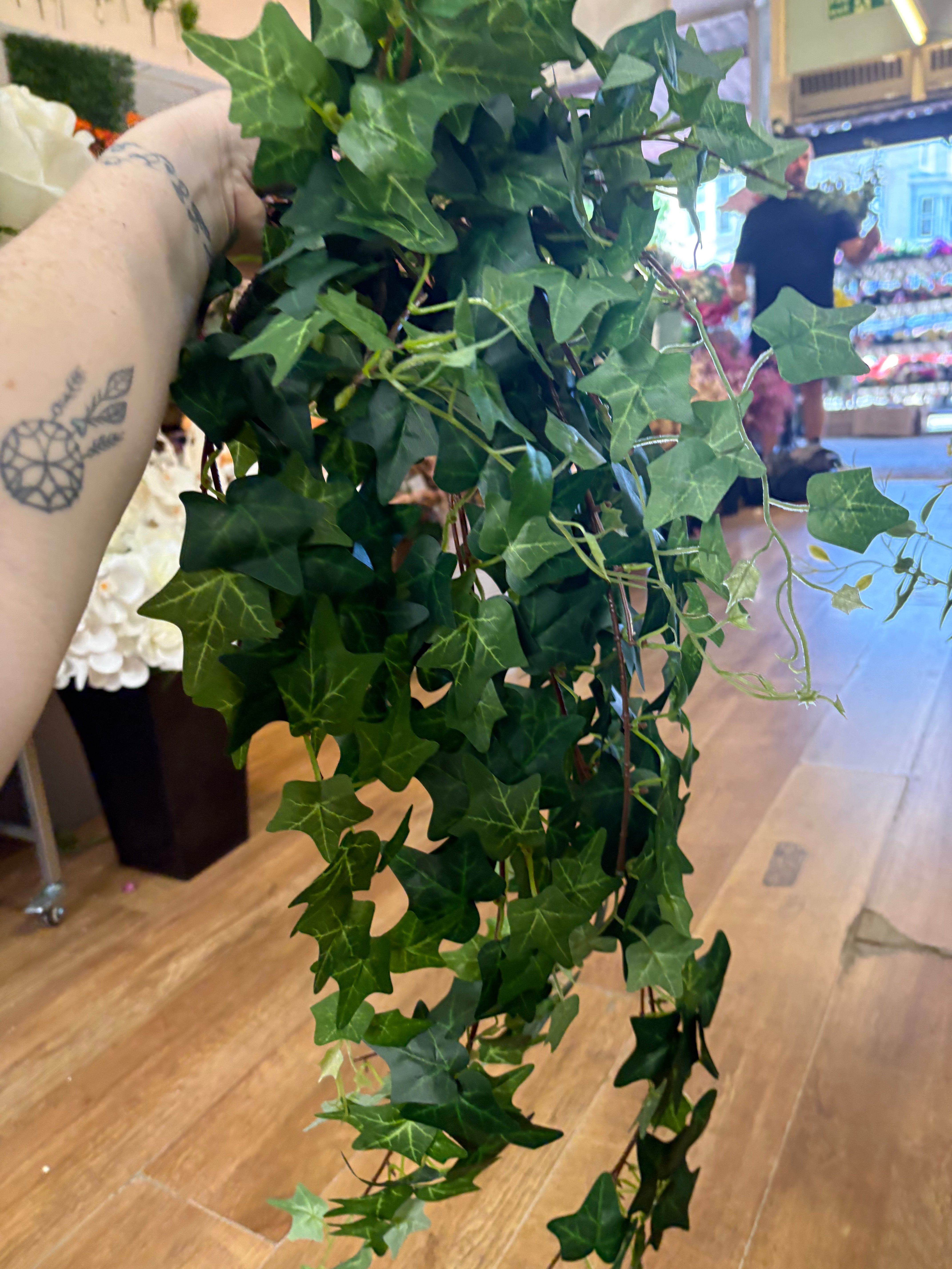 Large bushy ivy trailer