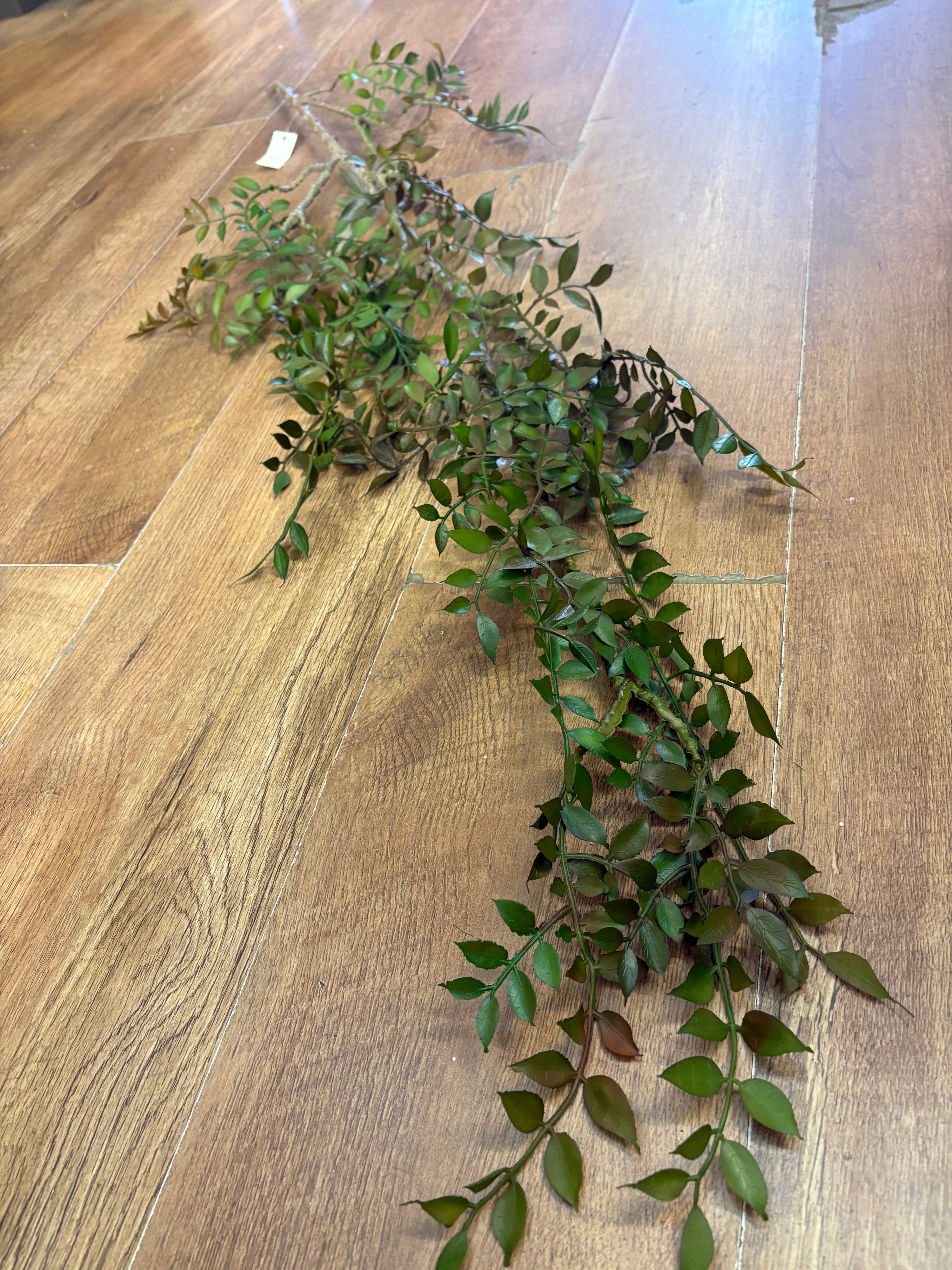 120cm discus leaf trailer