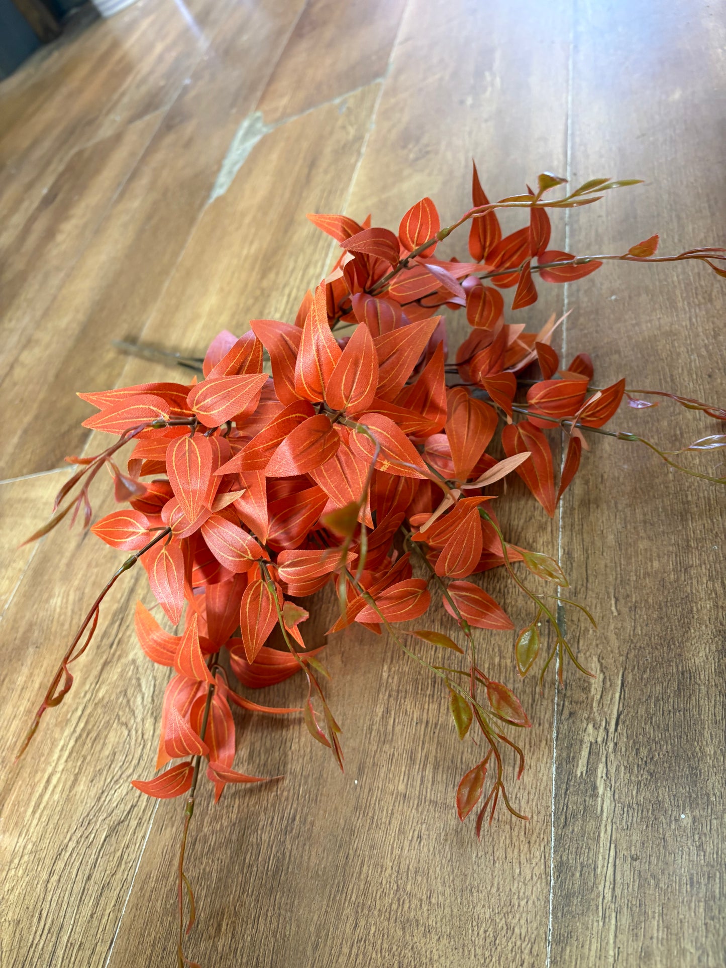 Large orange Italian ruscus bunch