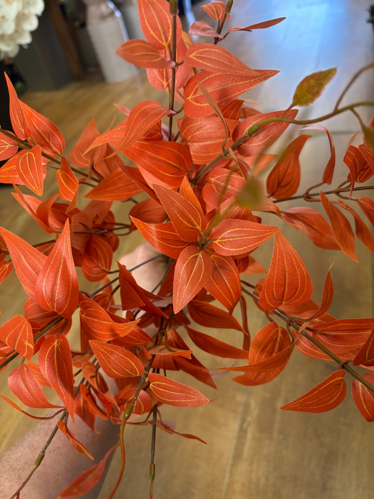 Large orange Italian ruscus bunch