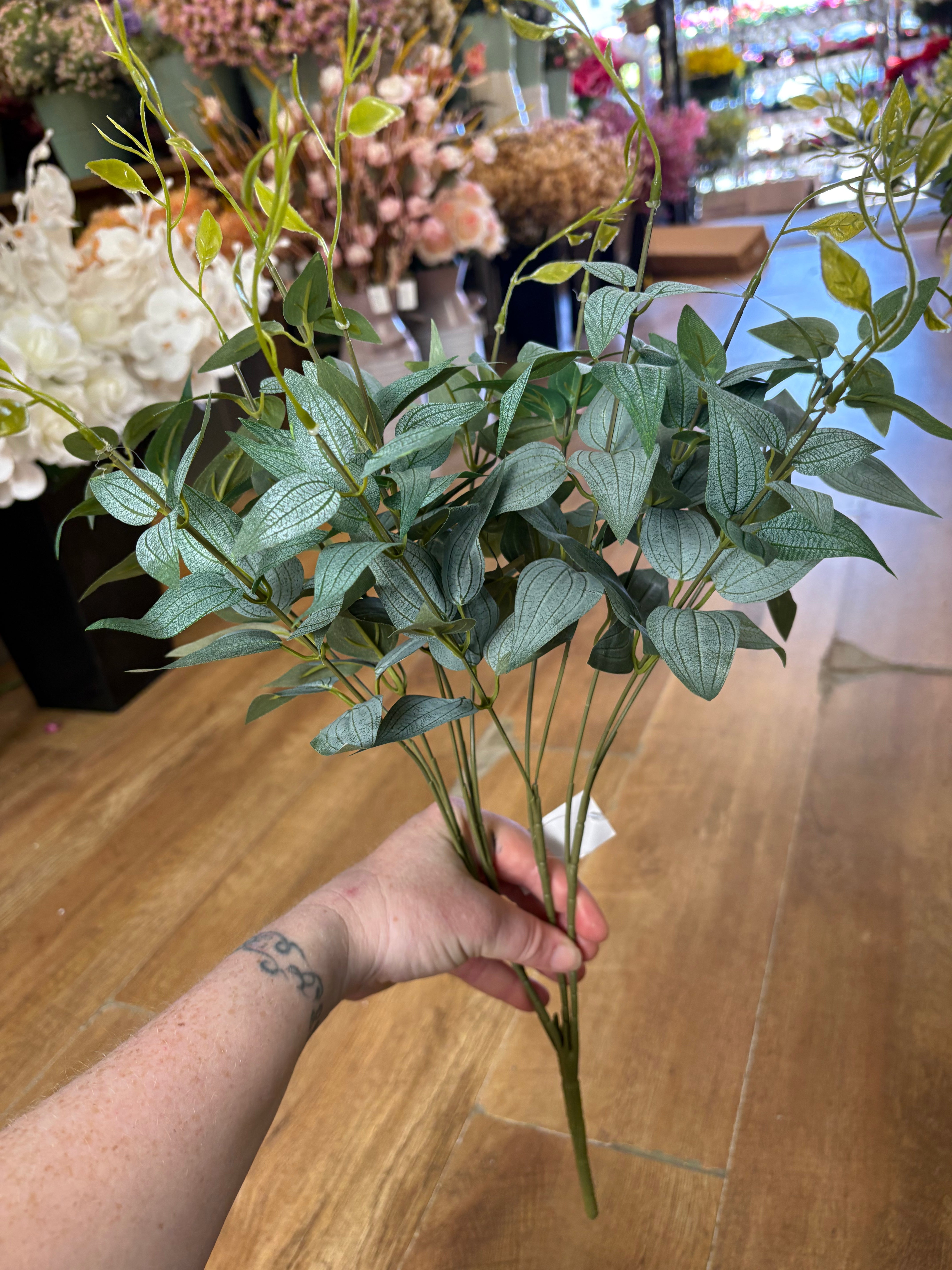 Large natural green italian ruscus bunch