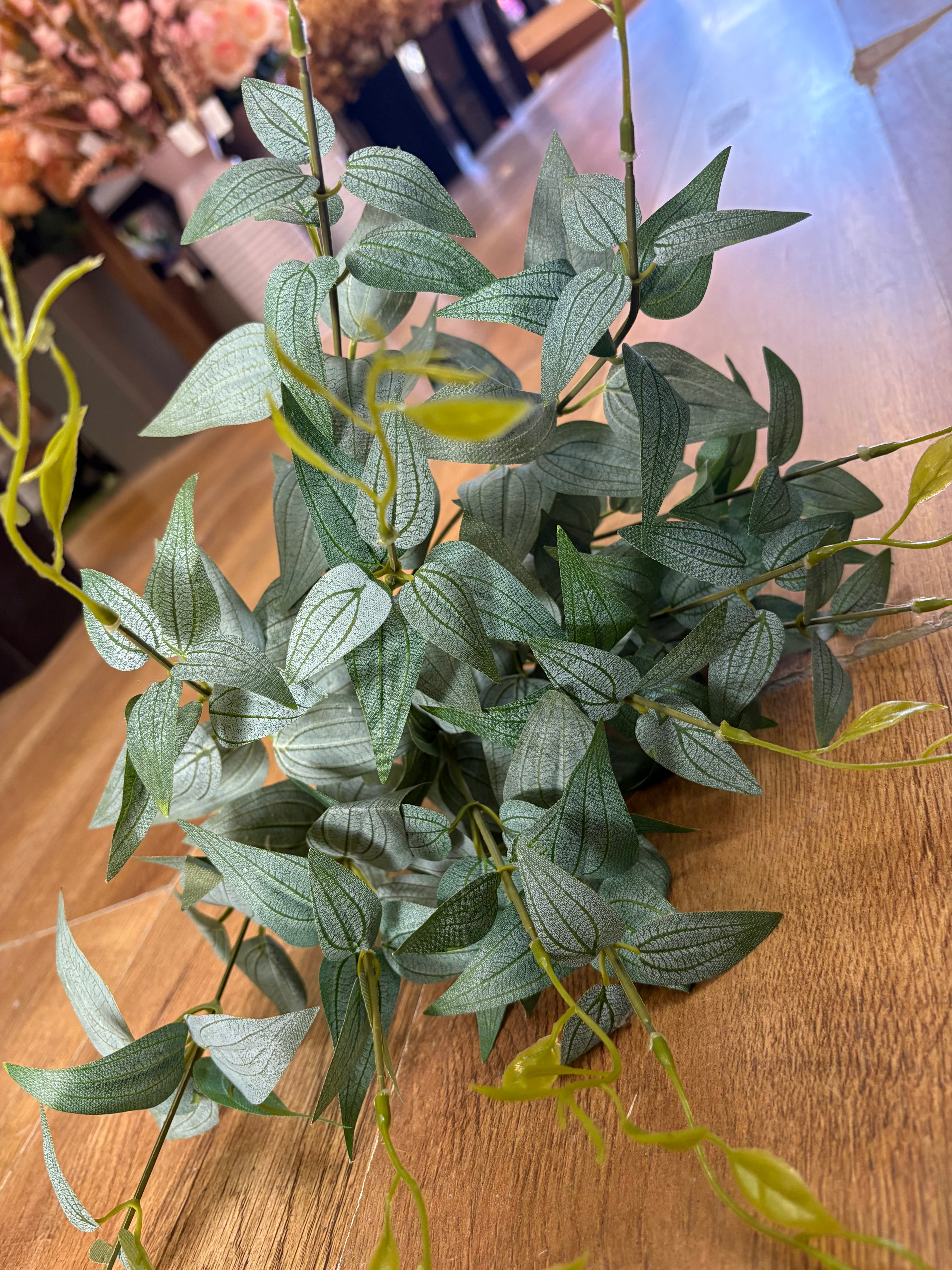 Large natural green italian ruscus bunch