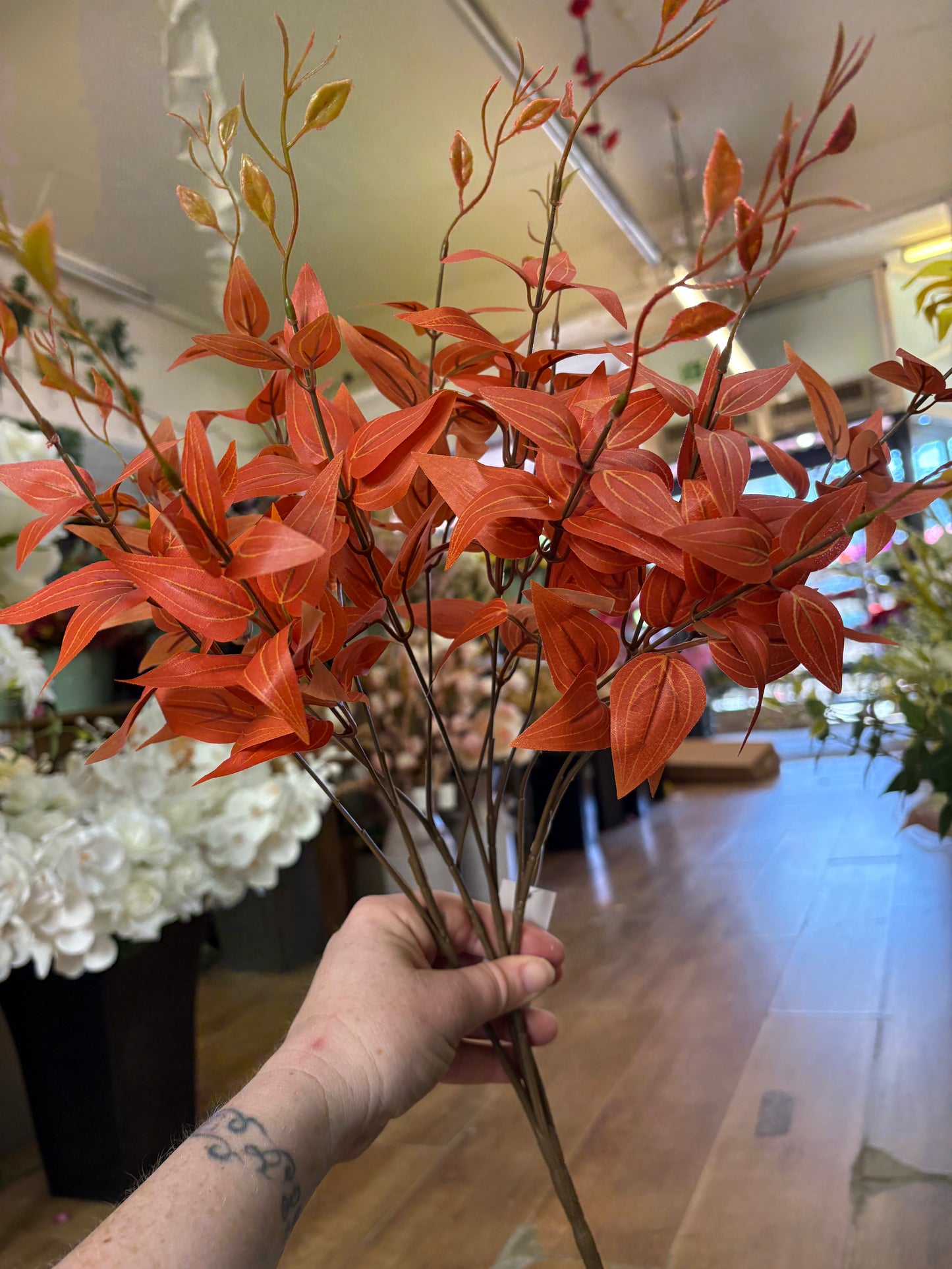 Large orange Italian ruscus bunch