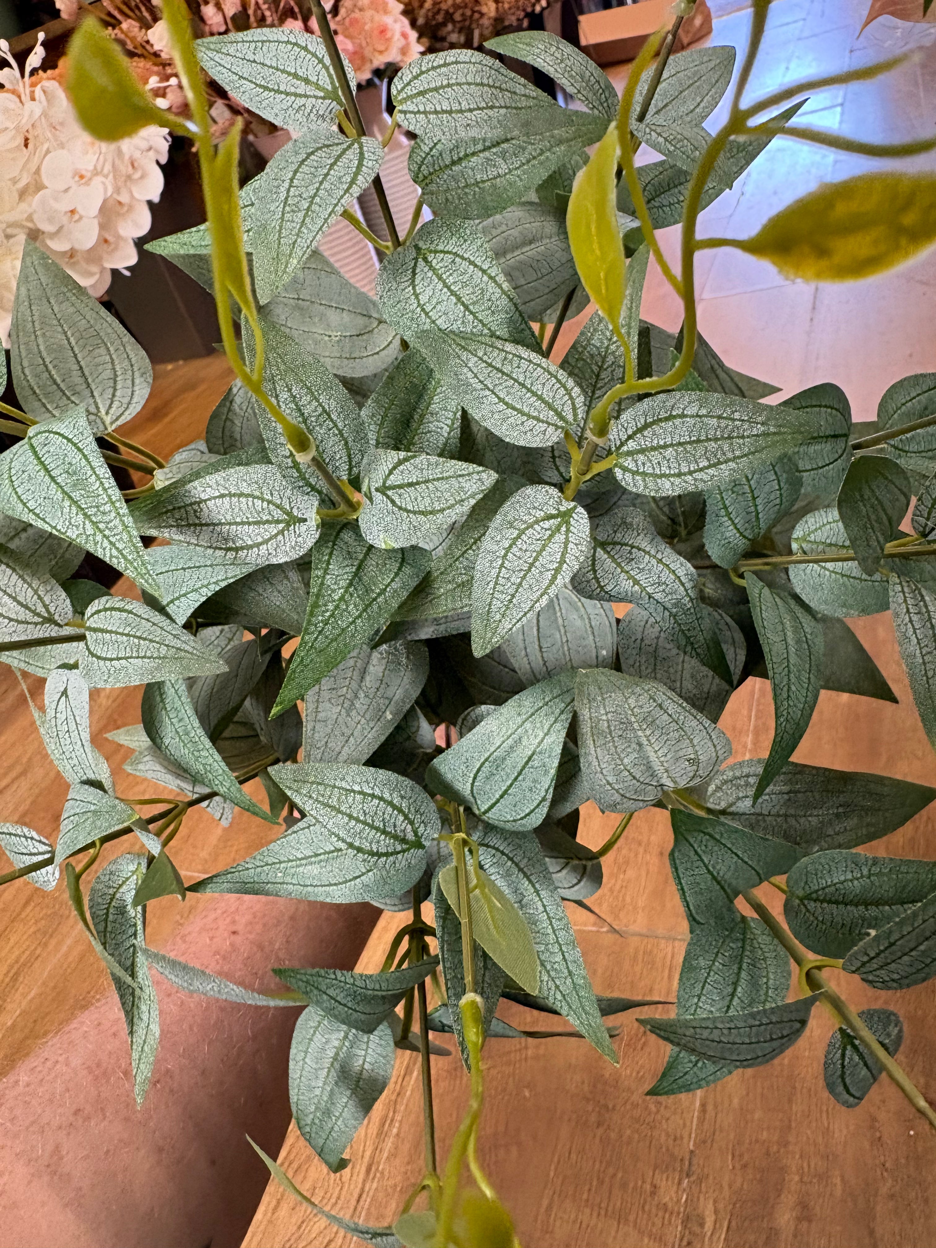 Large natural green italian ruscus bunch