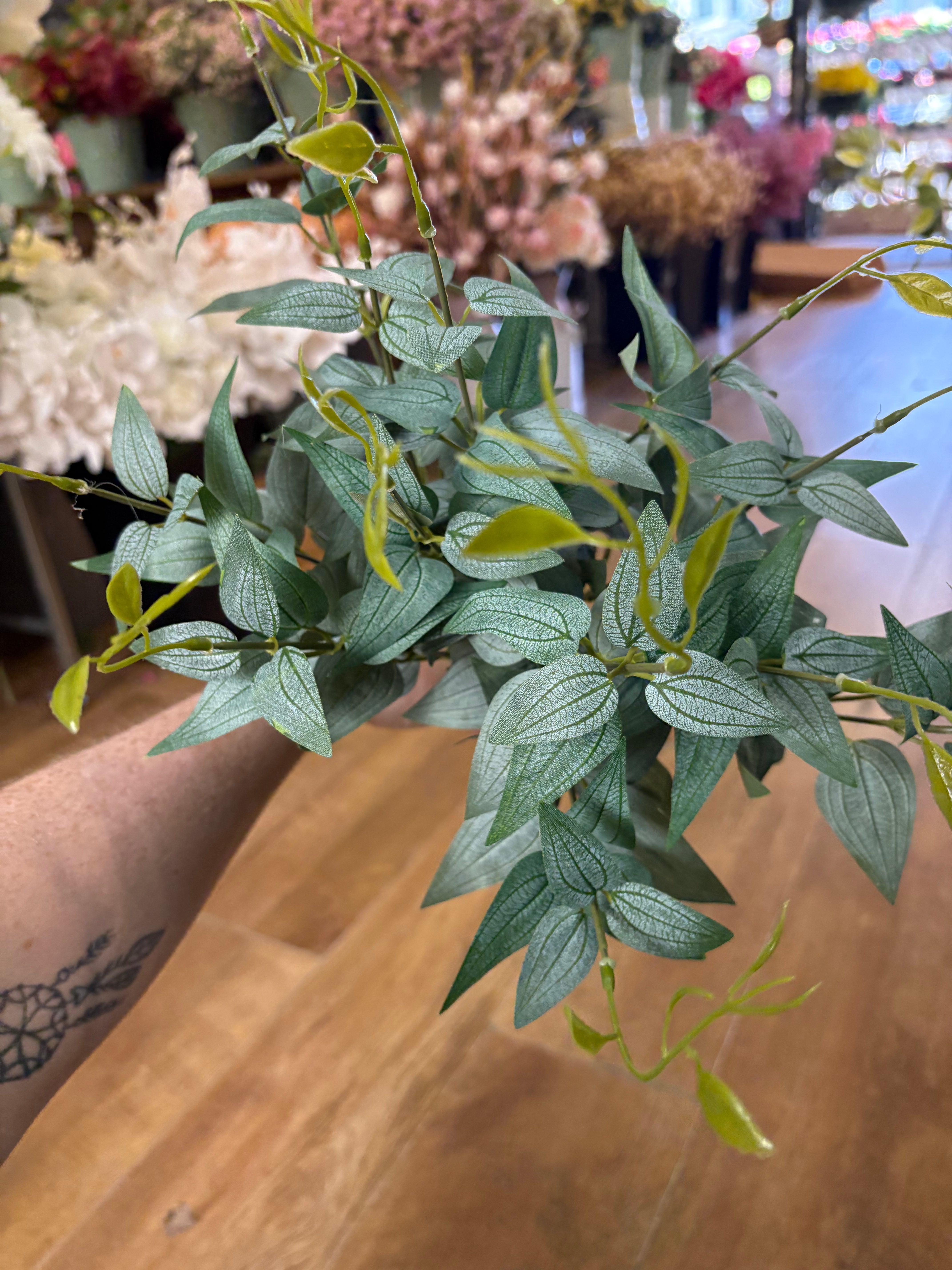 Large natural green italian ruscus bunch