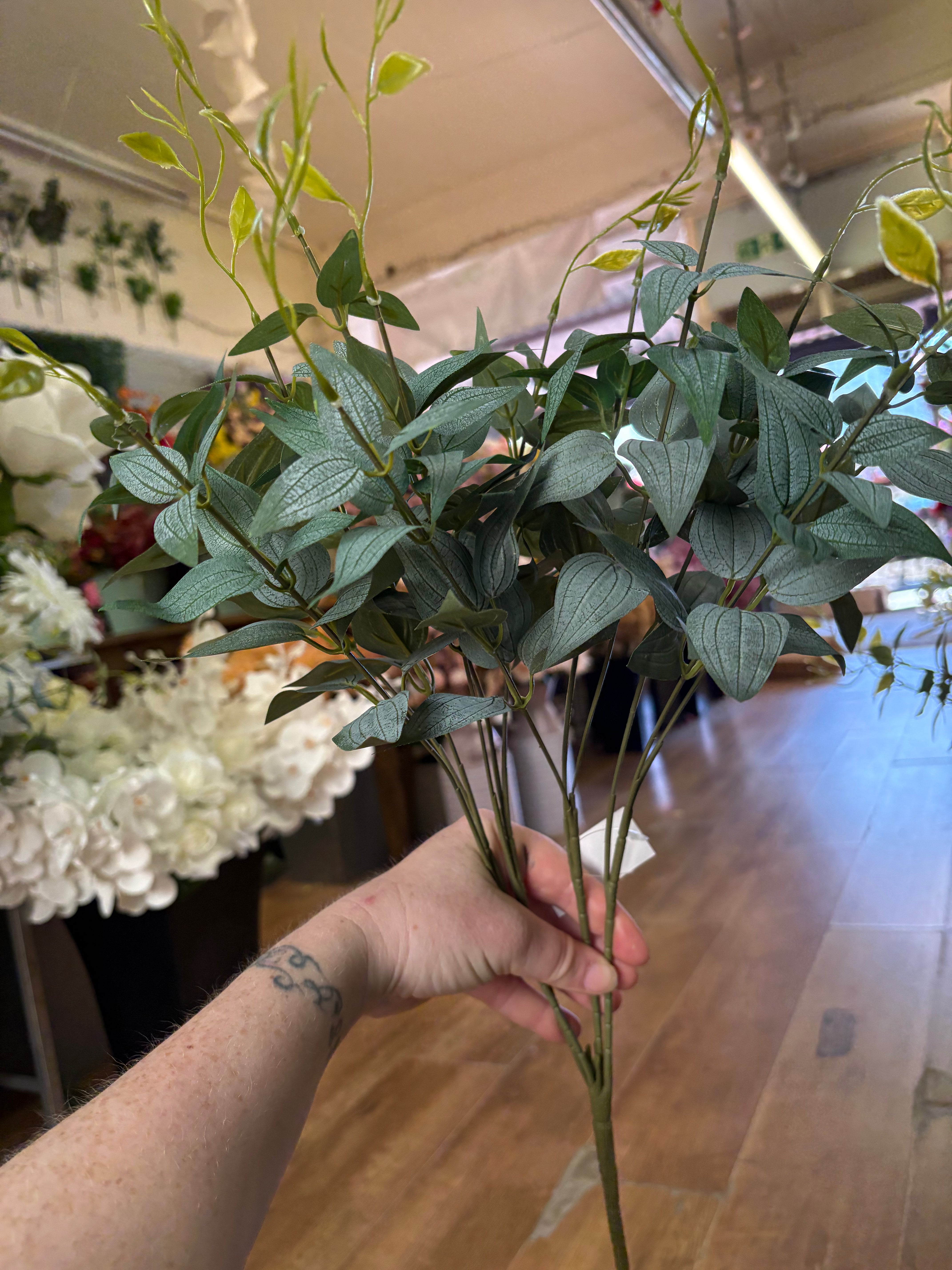 Large natural green italian ruscus bunch