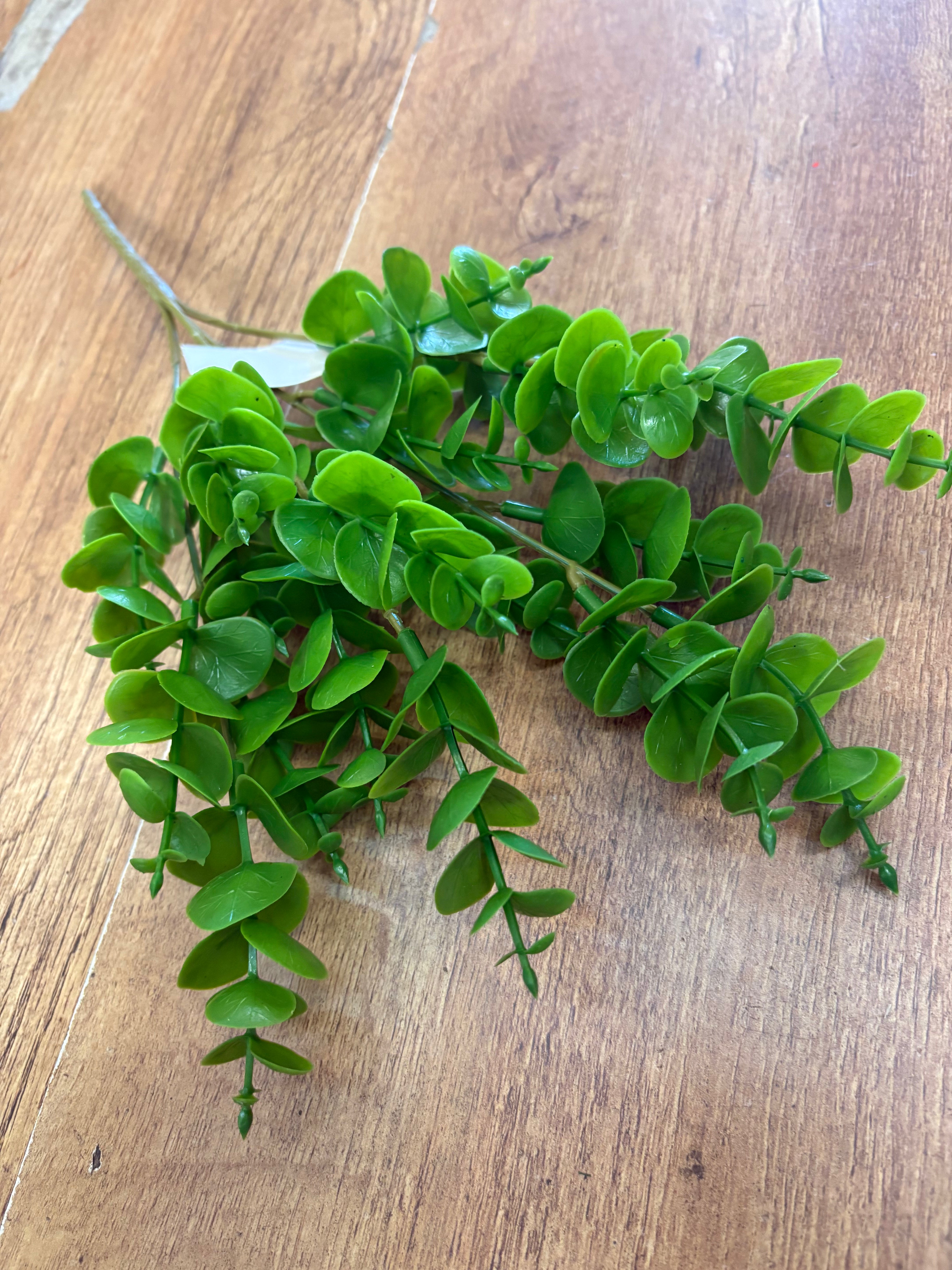 Plastic eucalyptus bunch