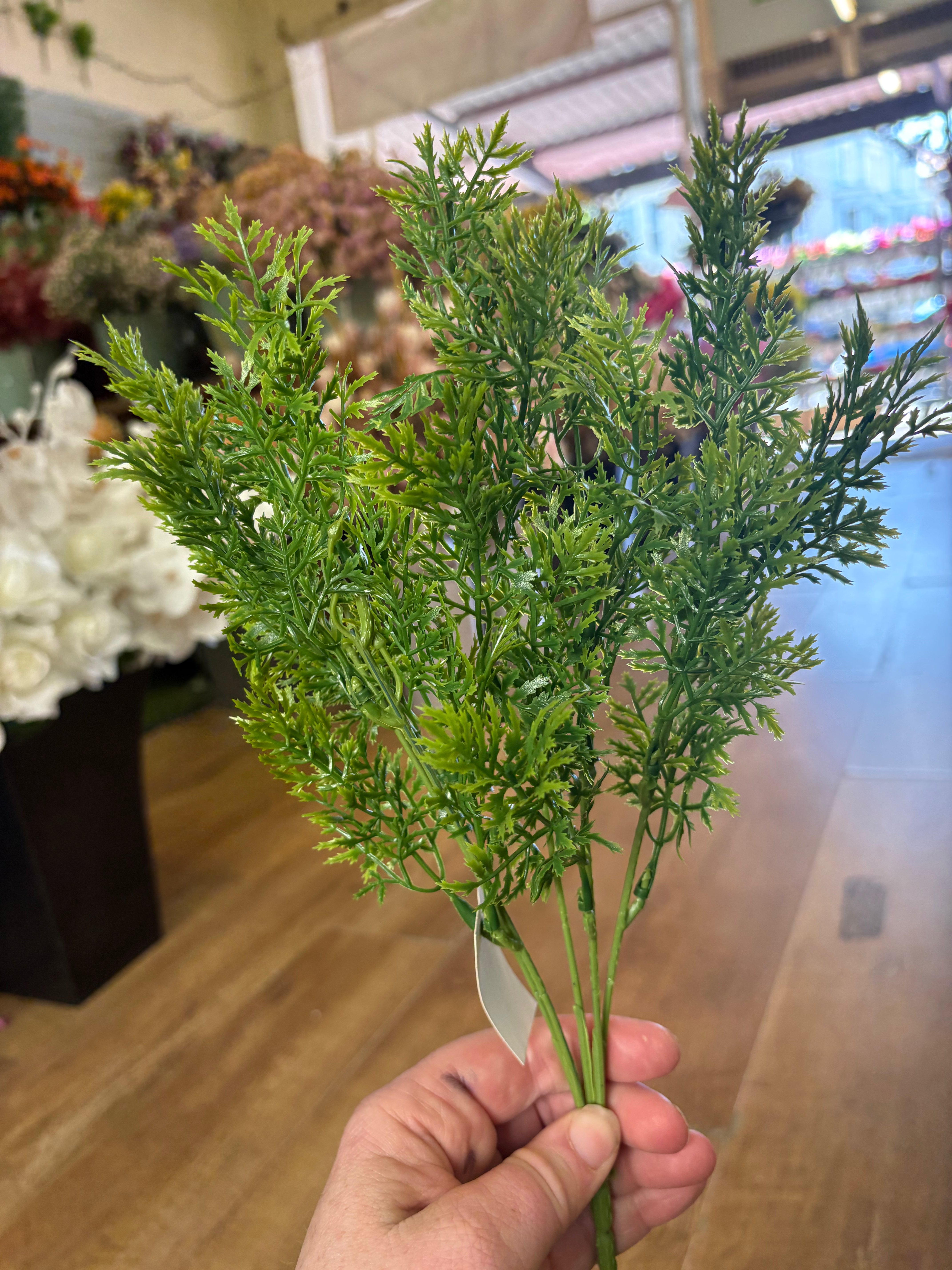 Conifer bush