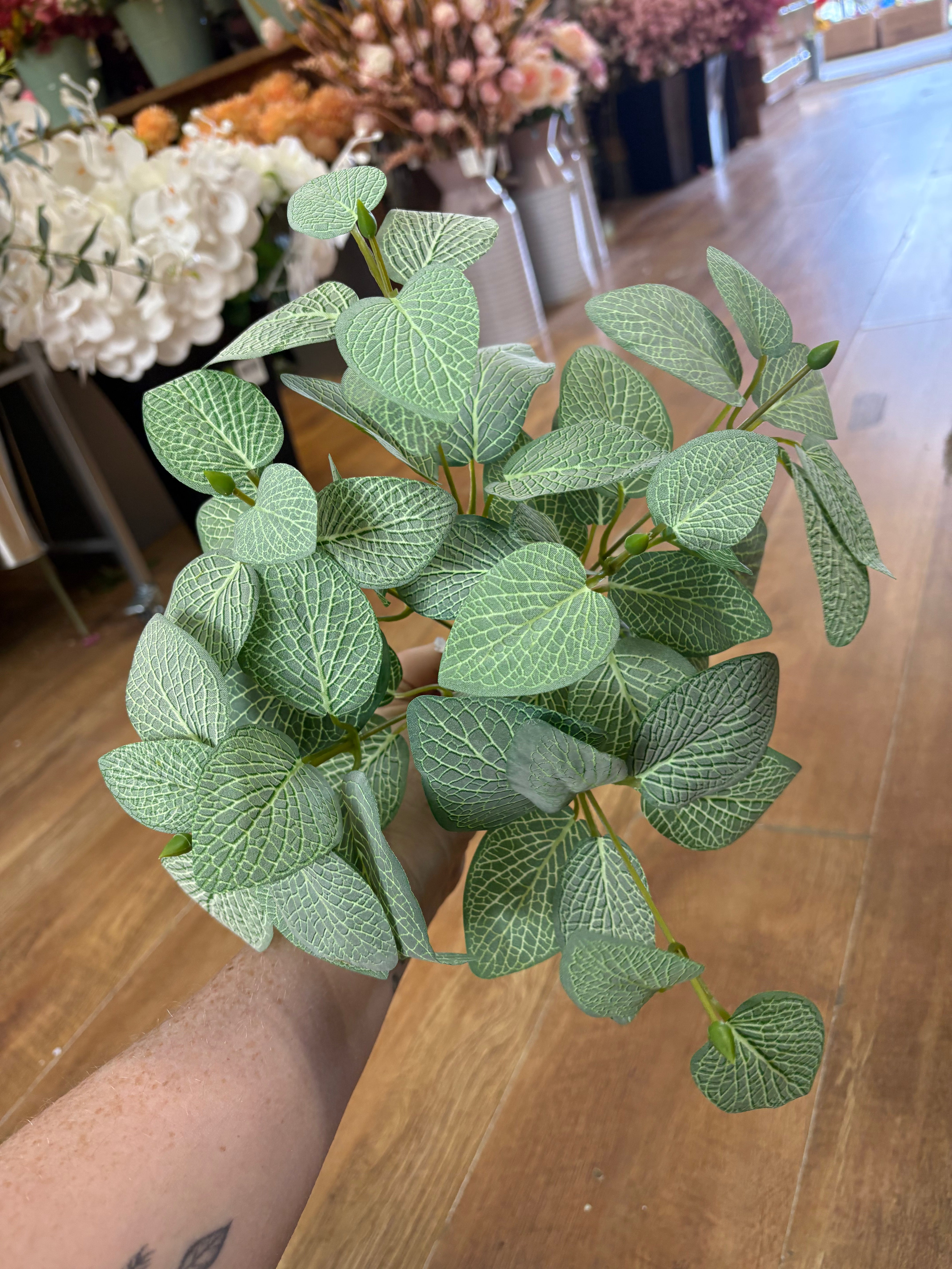 Bushy veined leaf foliage