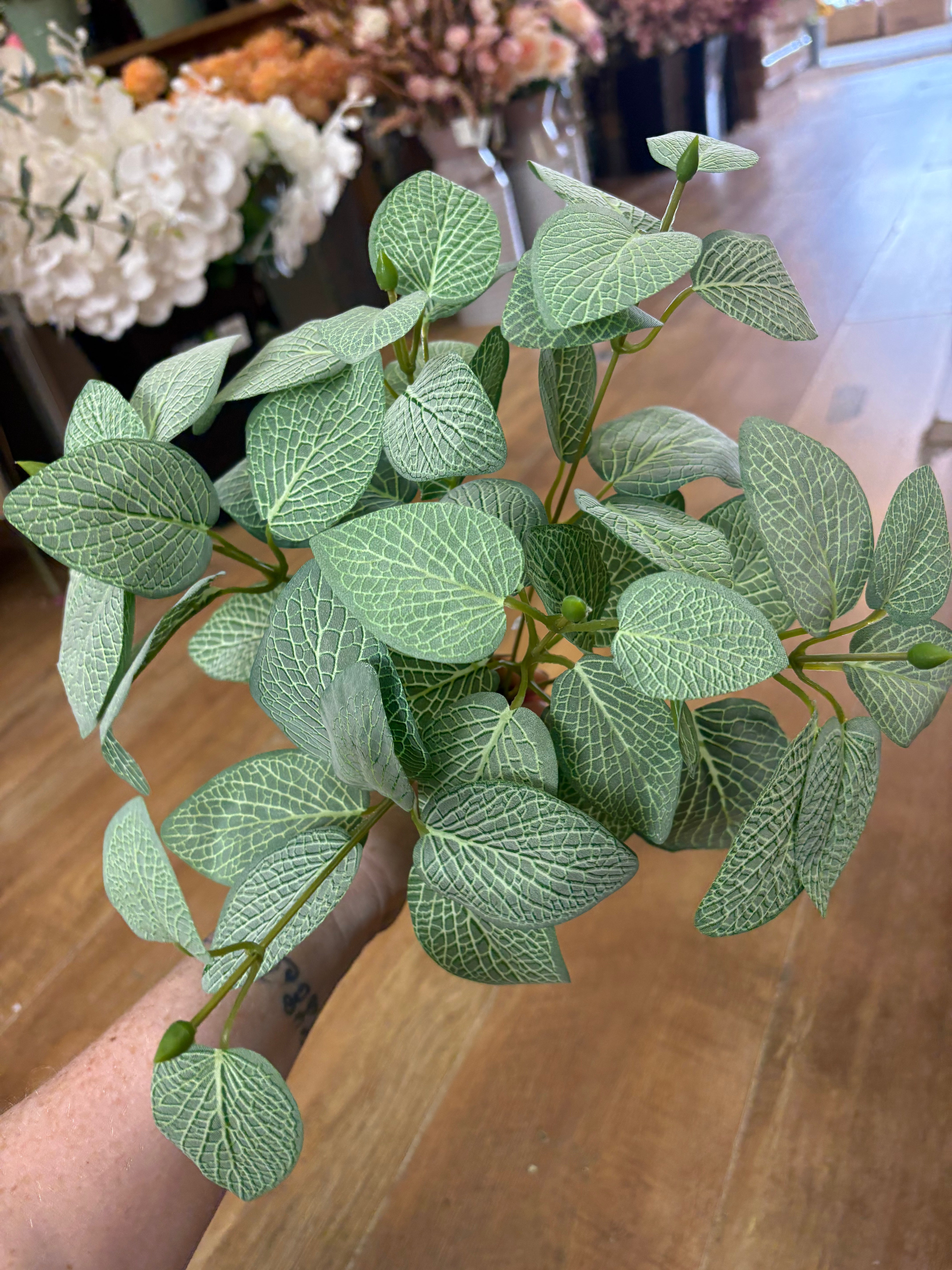 Bushy veined leaf foliage