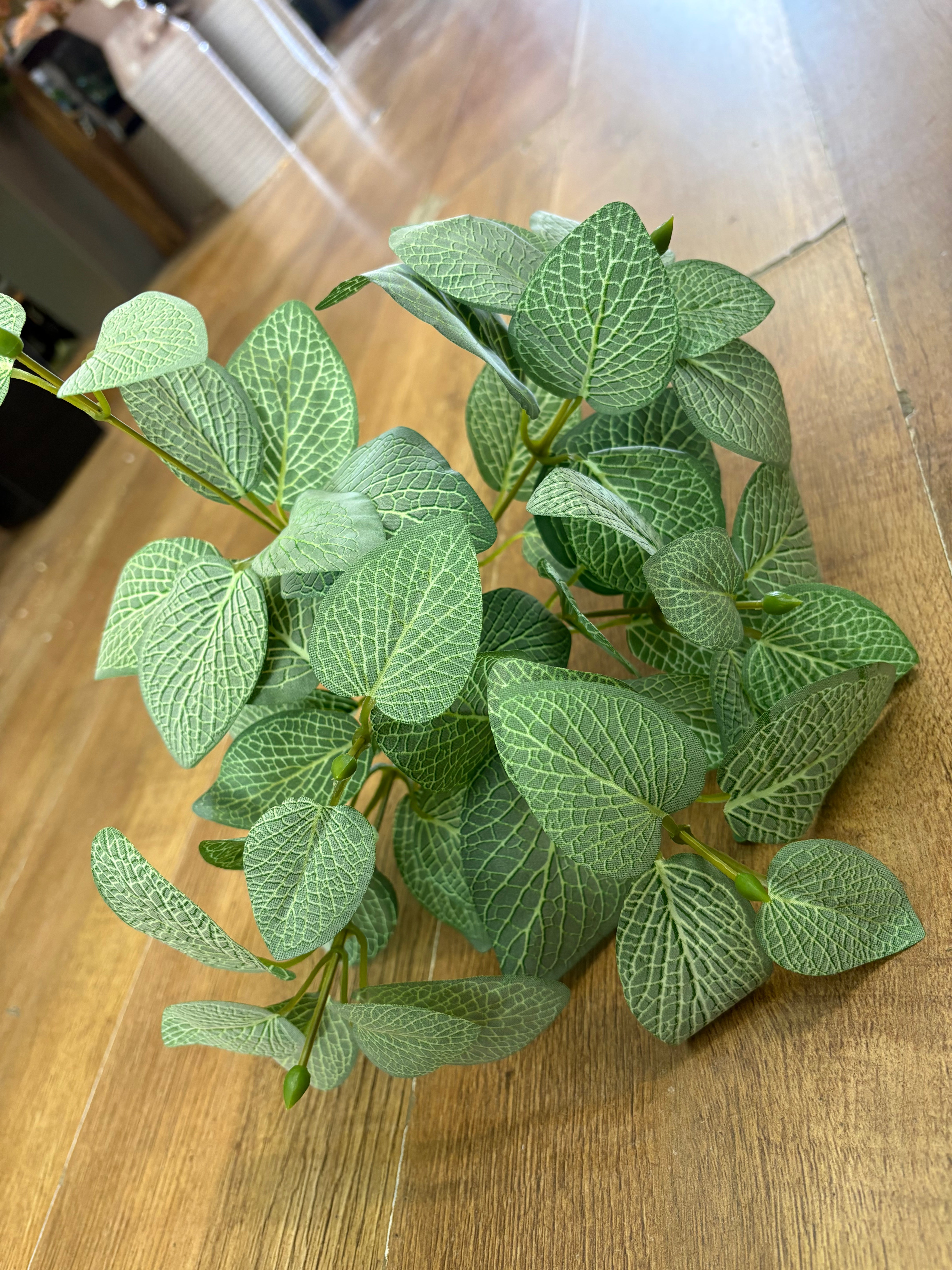 Bushy veined leaf foliage
