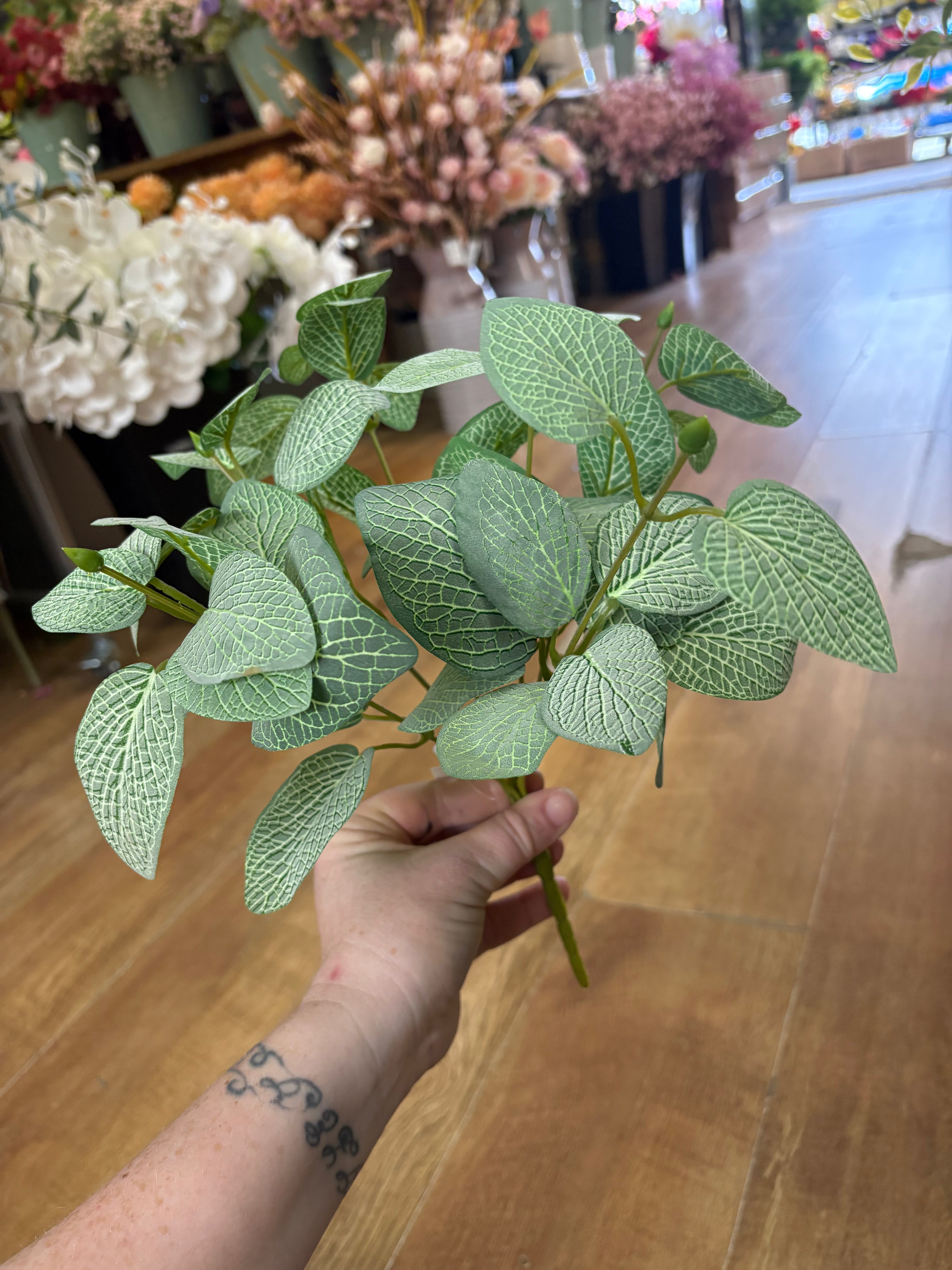 Bushy veined leaf foliage