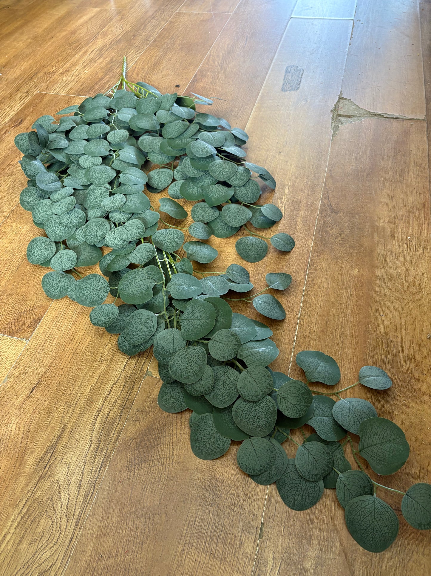 Giant hanging eucalyptus trailer